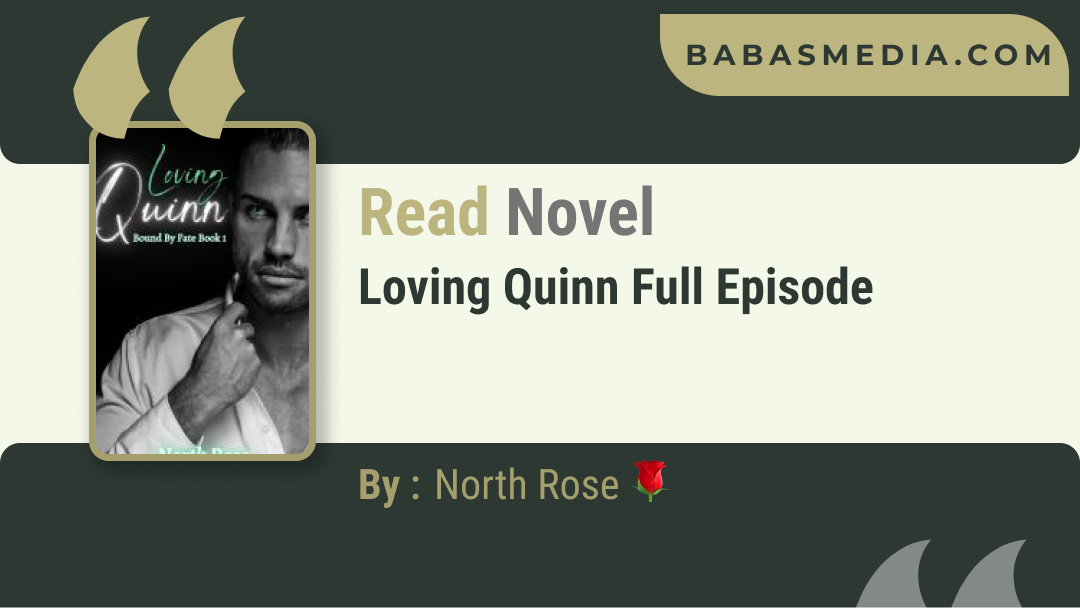 Loving Quinn Novel By North Rose / Read and Synopsis