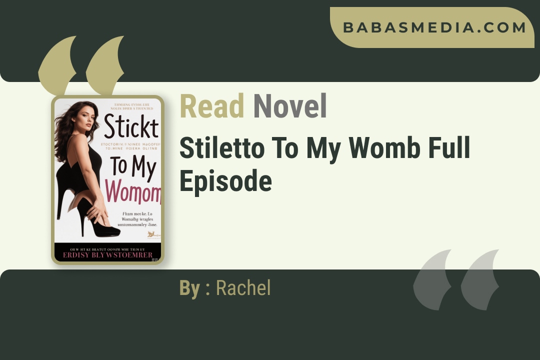 Stiletto to My Womb Novel By Rachel Reviews