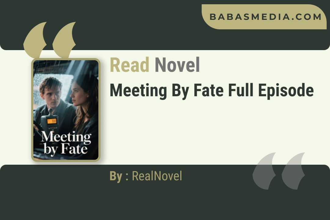 Meeting by Fate Novel By RealNovel Reviews