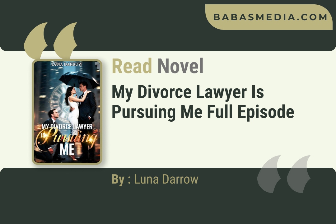 My Divorce Lawyer Is Pursuing Me Novel By Luna Darrow Reviews