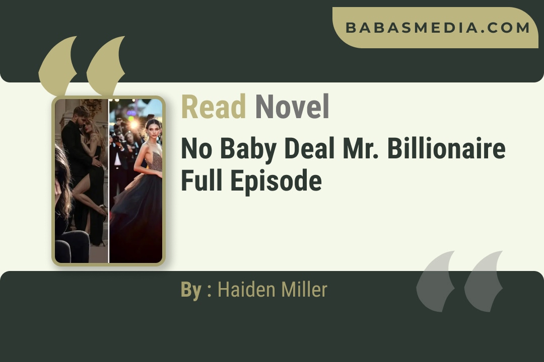 No Baby Deal Mr. Billionaire Novel By Haiden Miller Reviews