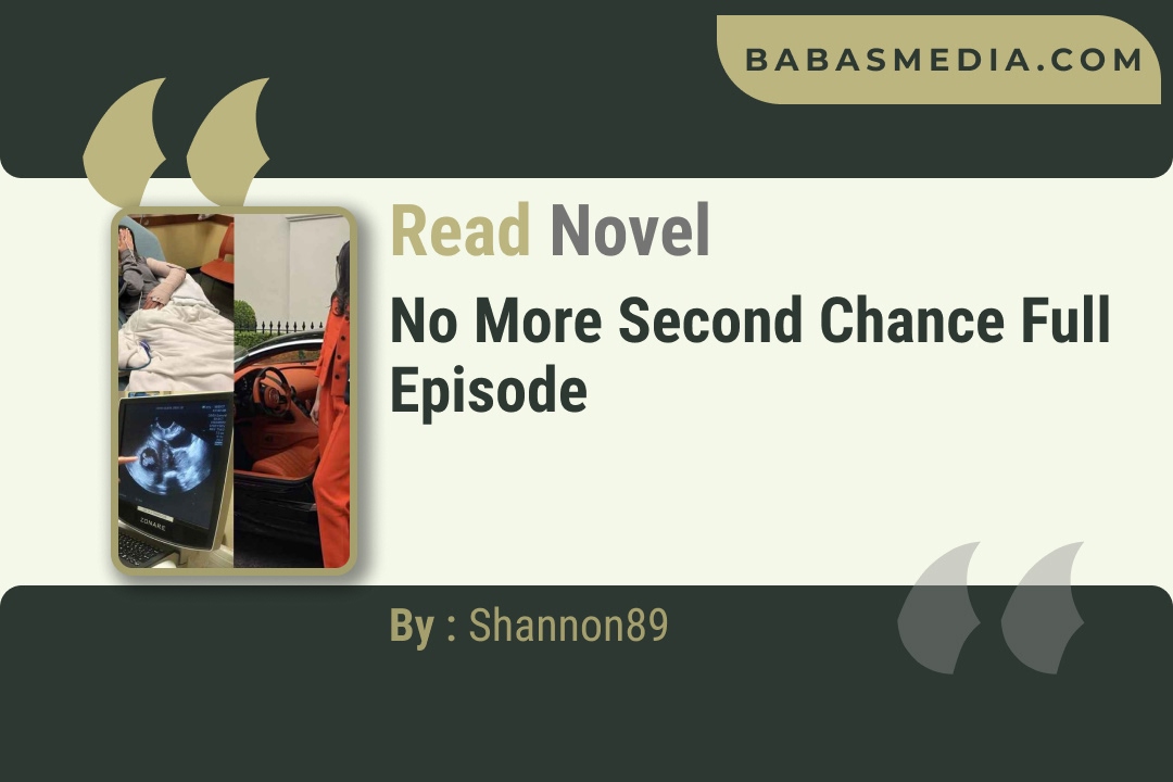 No More Second Chance Novel By Shannon89 Reviews