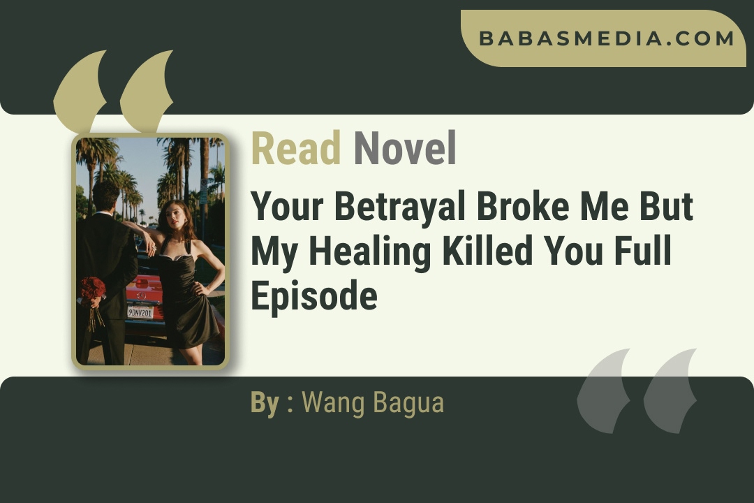 Your Betrayal Broke Me but My Healing Killed You Novel By Wang Bagua Reviews