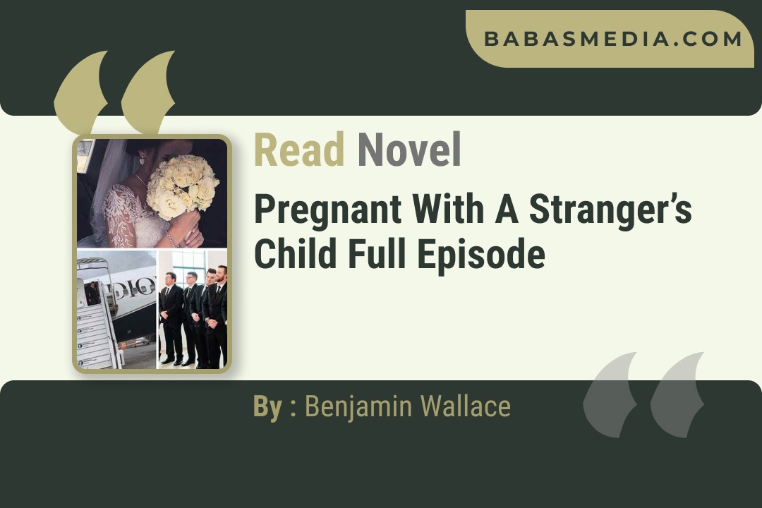 Pregnant with a Stranger’s Child Novel By Benjamin Wallace Reviews