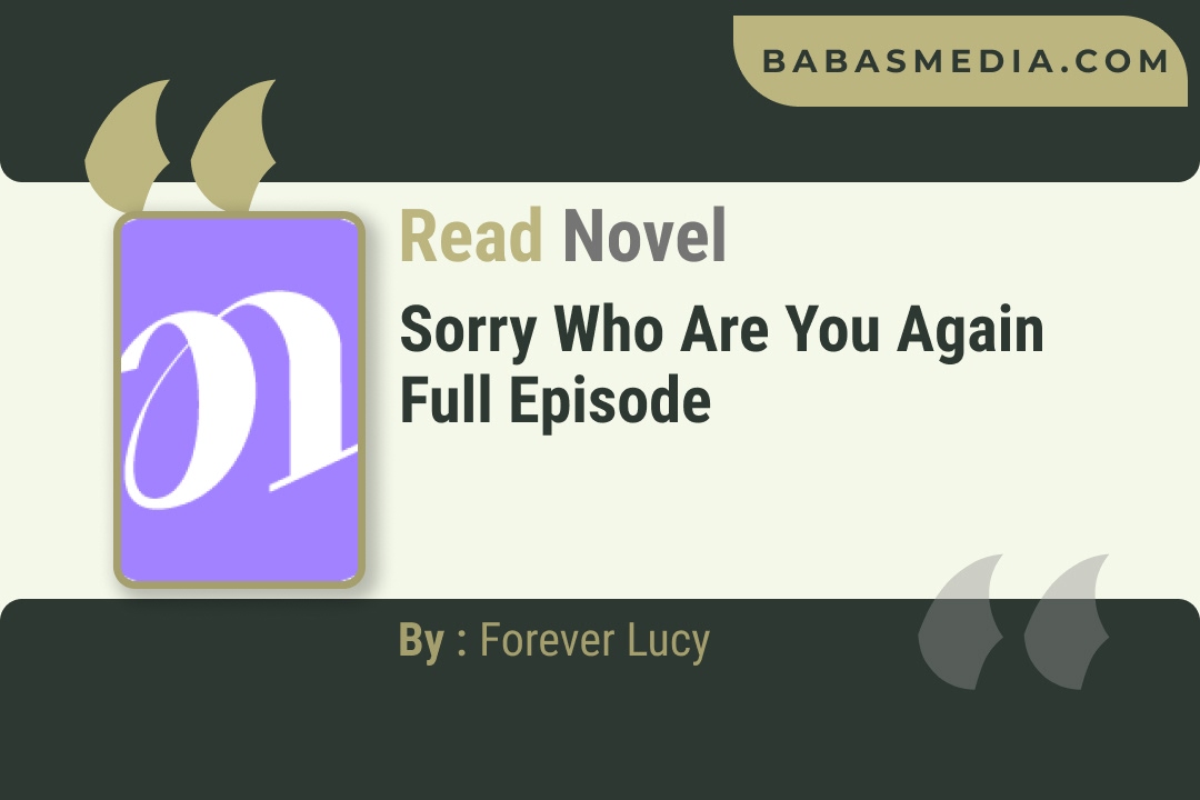 Sorry Who Are You Again Novel By Forever Lucy Reviews