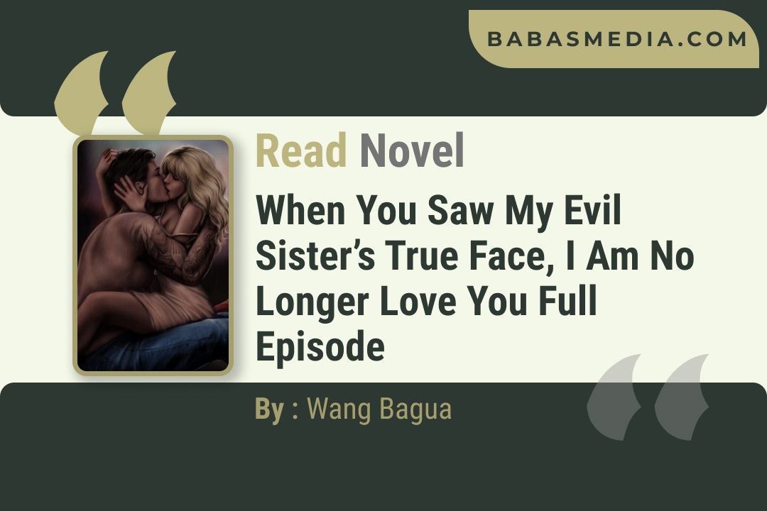 When You Saw My Evil Sister’s True Face, I Am No Longer Love You Novel By Wang Bagua Reviews