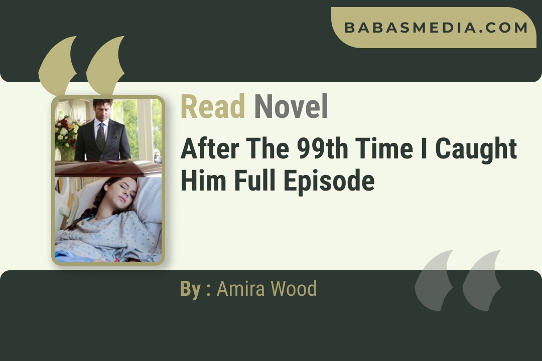 After The 99th Time I Caught Him Novel By Amira Wood Reviews