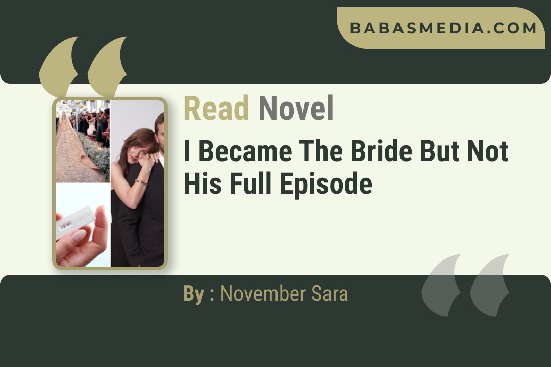 I Became the Bride but Not His Novel By November Sara Reviews