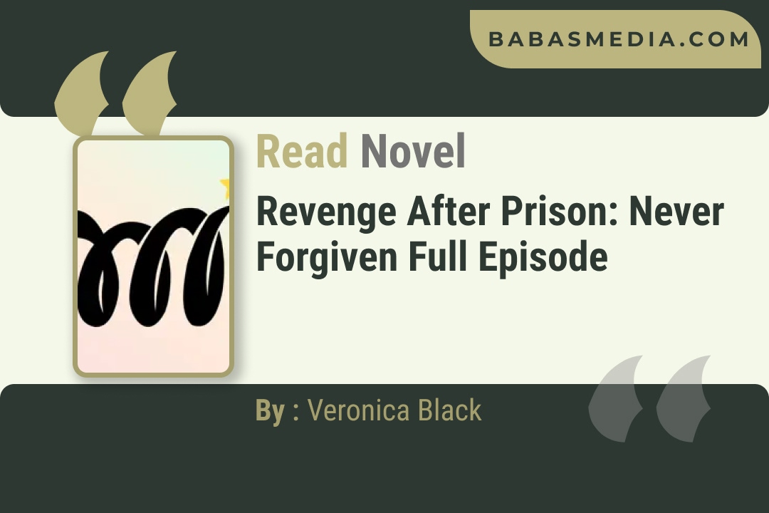 Revenge After Prison: Never Forgiven Novel By Veronica Black Reviews