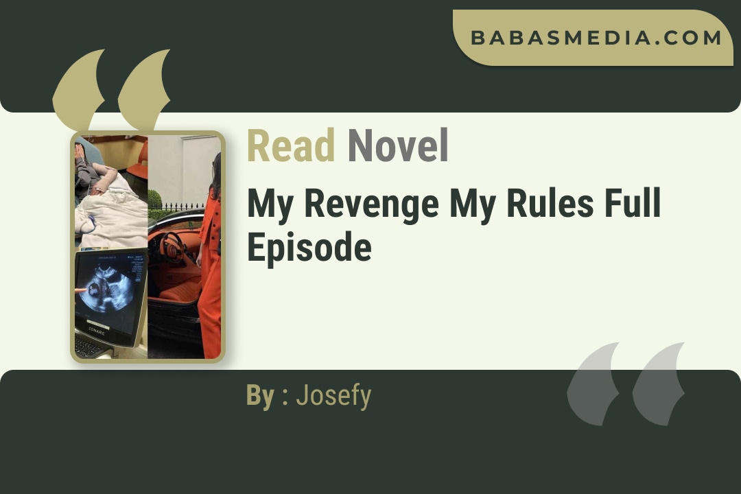 My Revenge My Rules Novel By Josefy Read Reviews
