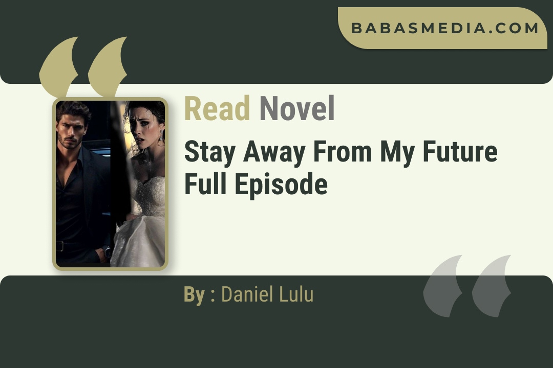 Stay Away From My Future Novel By Daniel Lulu Read Reviews