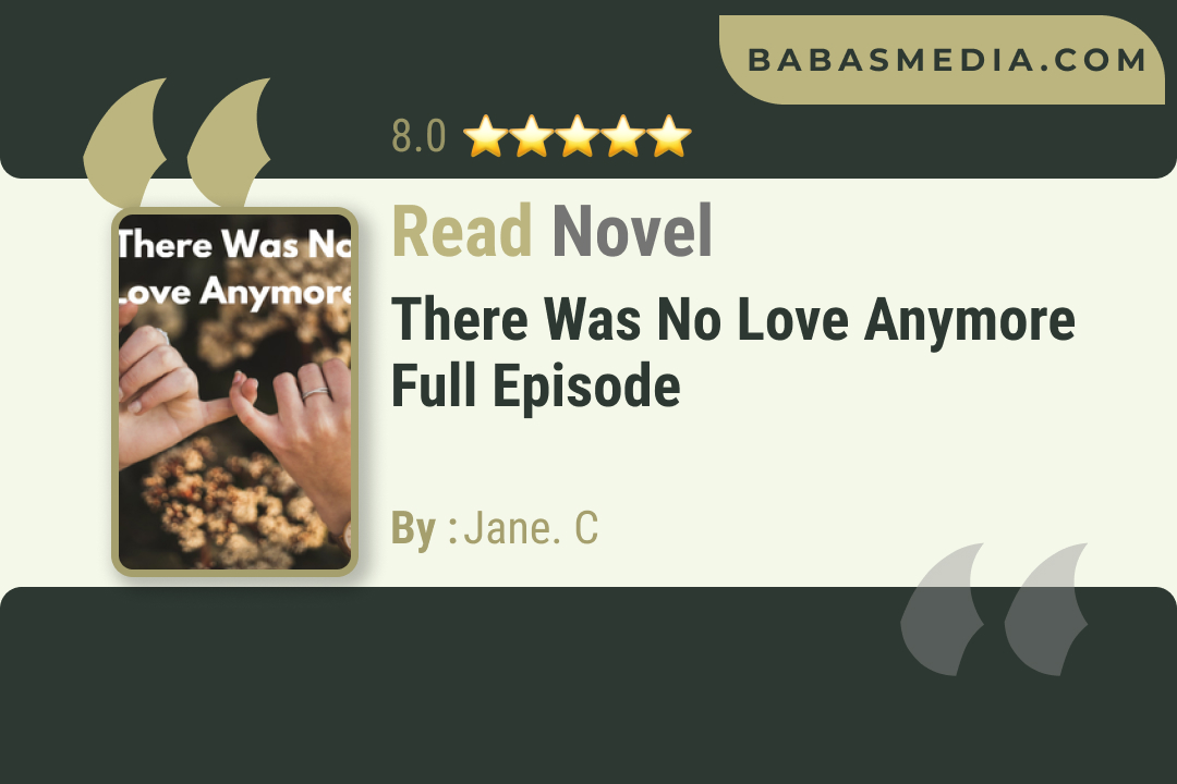 There Was No Love Anymore Novel By Jane. C Read Reviews