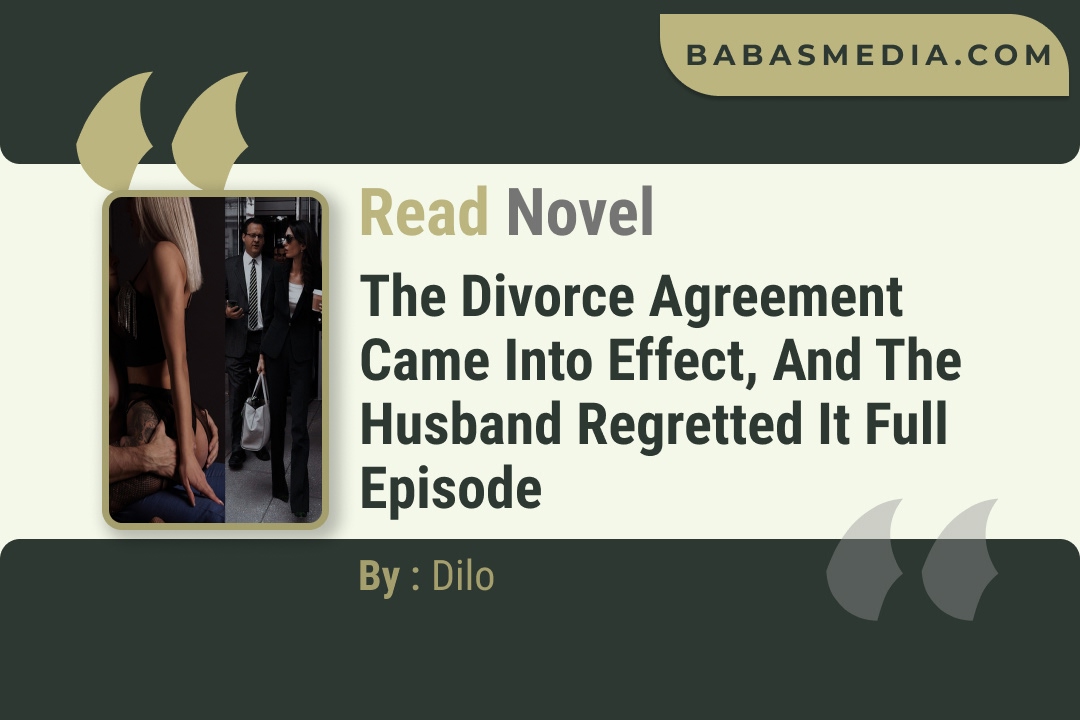 The Divorce Agreement Came Into Effect, and the Husband Regretted it Novel By Dilo Read Reviews