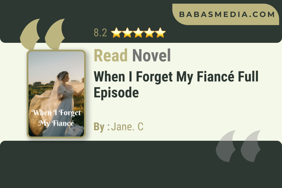 When I Forget My Fiancé Novel By Jane. C Read Reviews