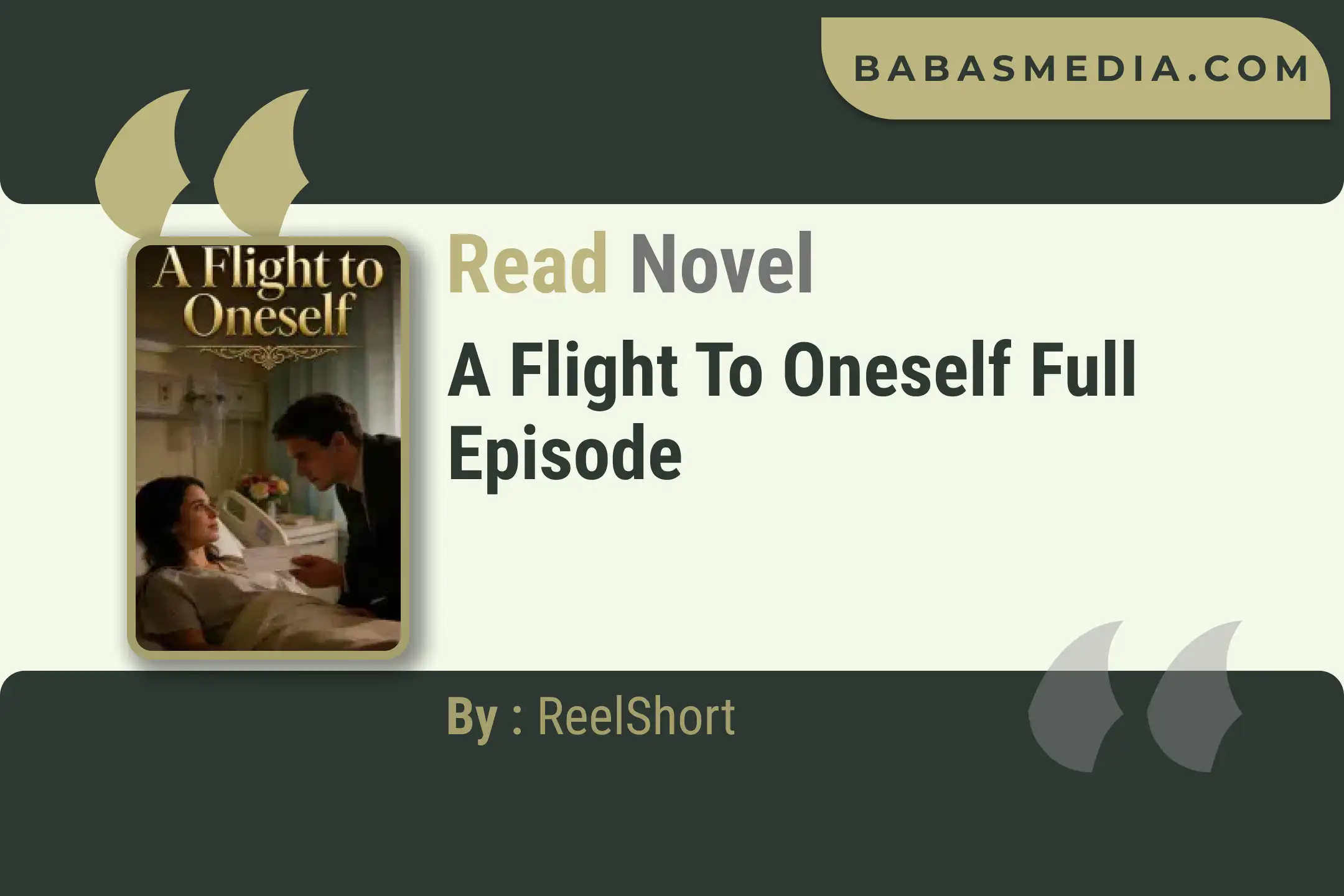 A Flight to Oneself Novel By ReelShort Read Reviews