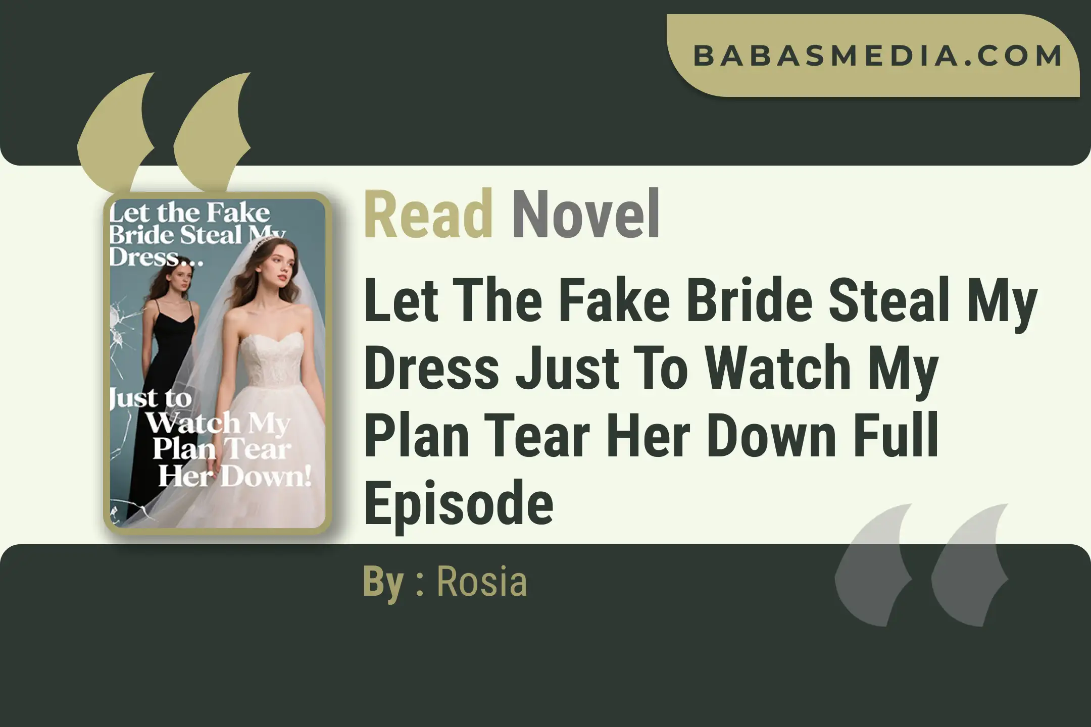 Let the Fake Bride Steal My Dress Just to Watch My Plan Tear Her Down Novel By Rosia Read Reviews