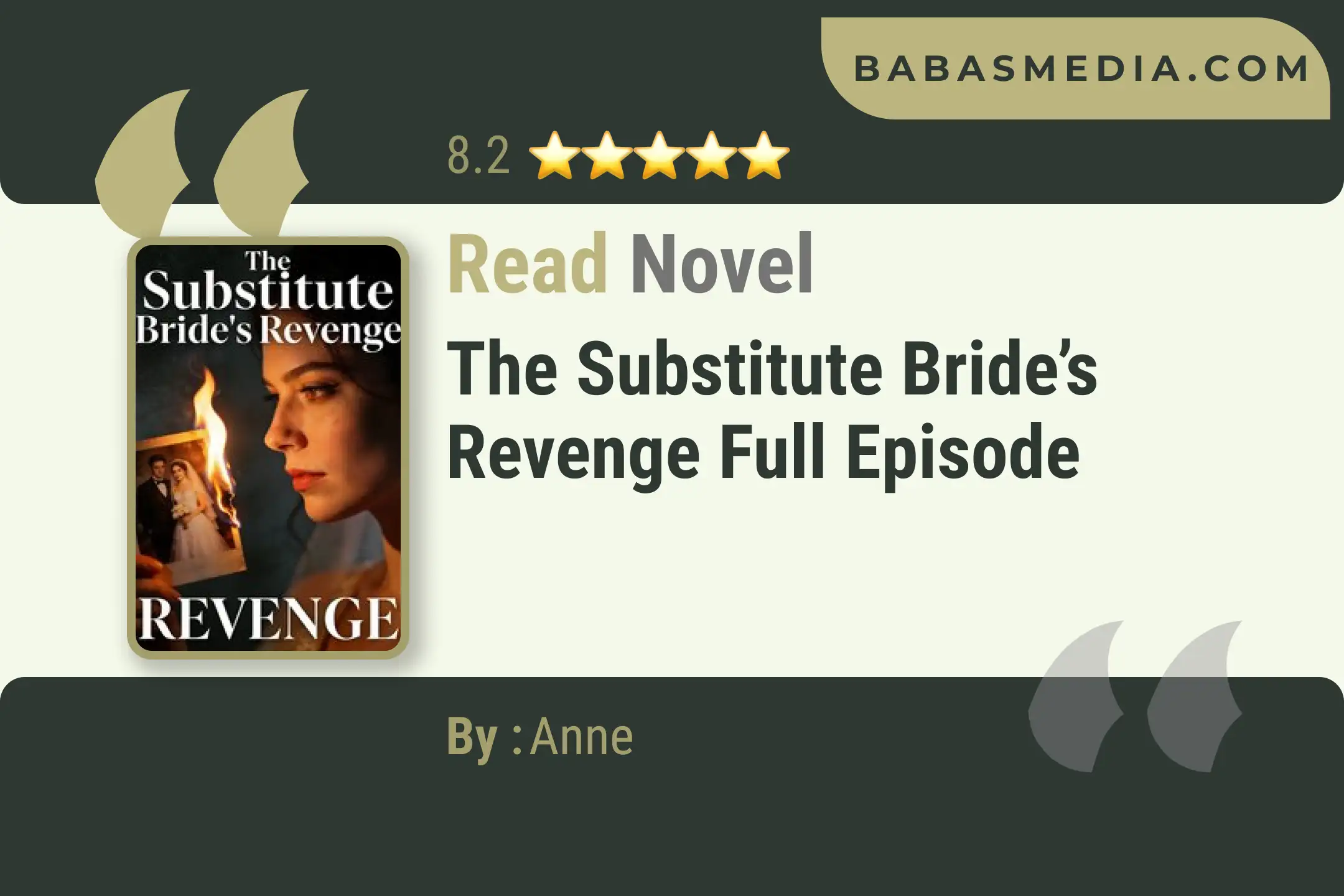 The Substitute Bride’s Revenge Novel By Anne Read Reviews
