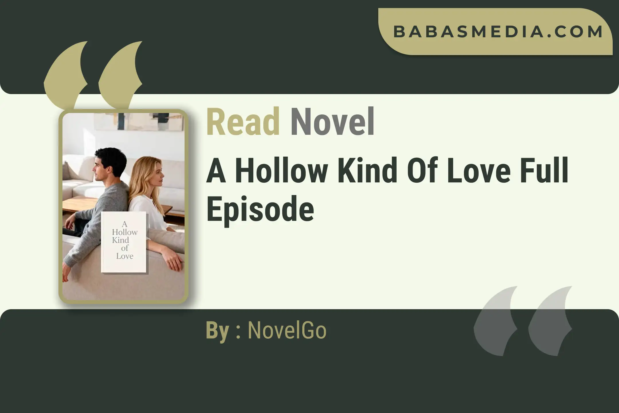 A Hollow Kind of Love Novel By NovelGo Read Reviews
