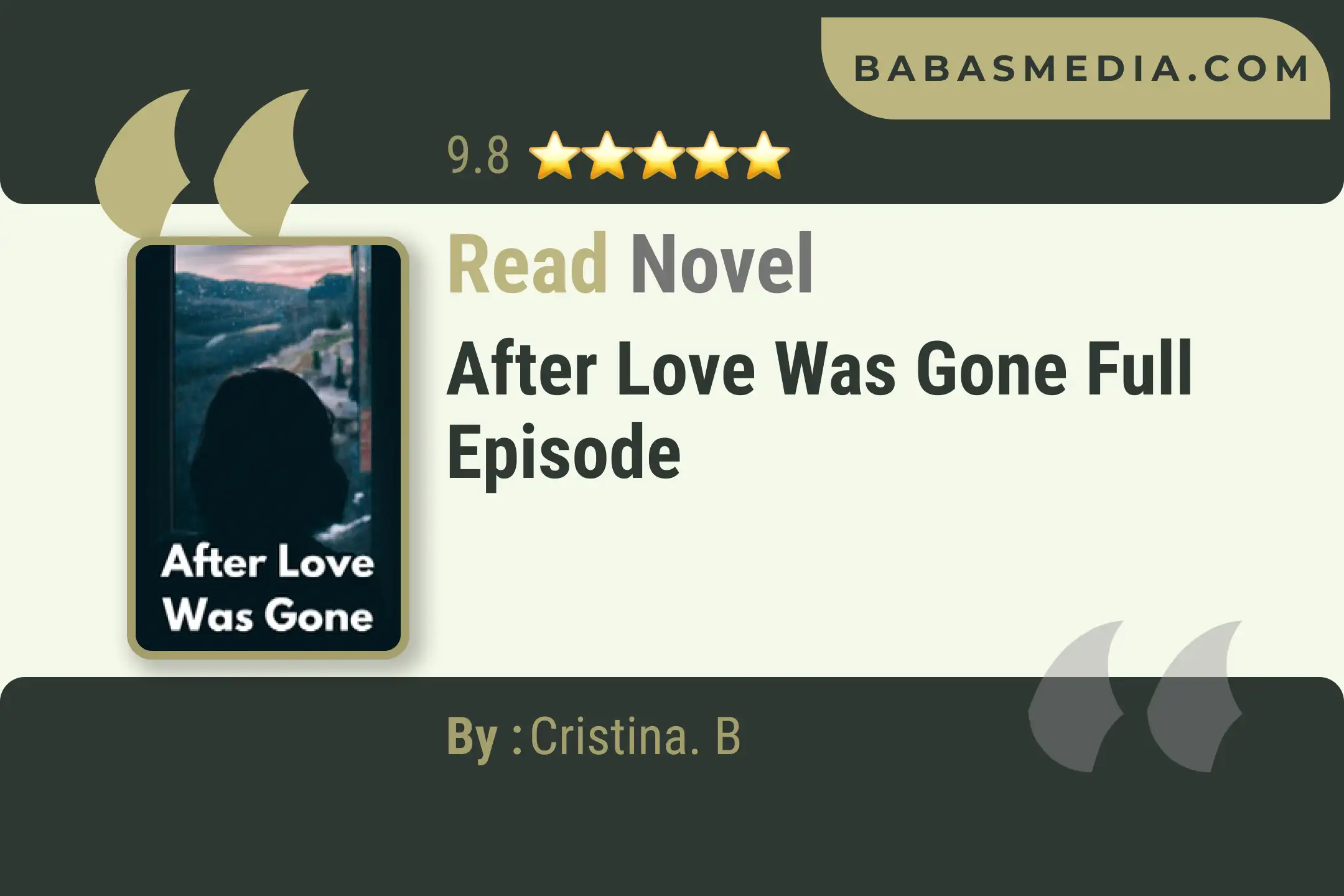 After Love Was Gone Novel By Cristina. B Read Reviews