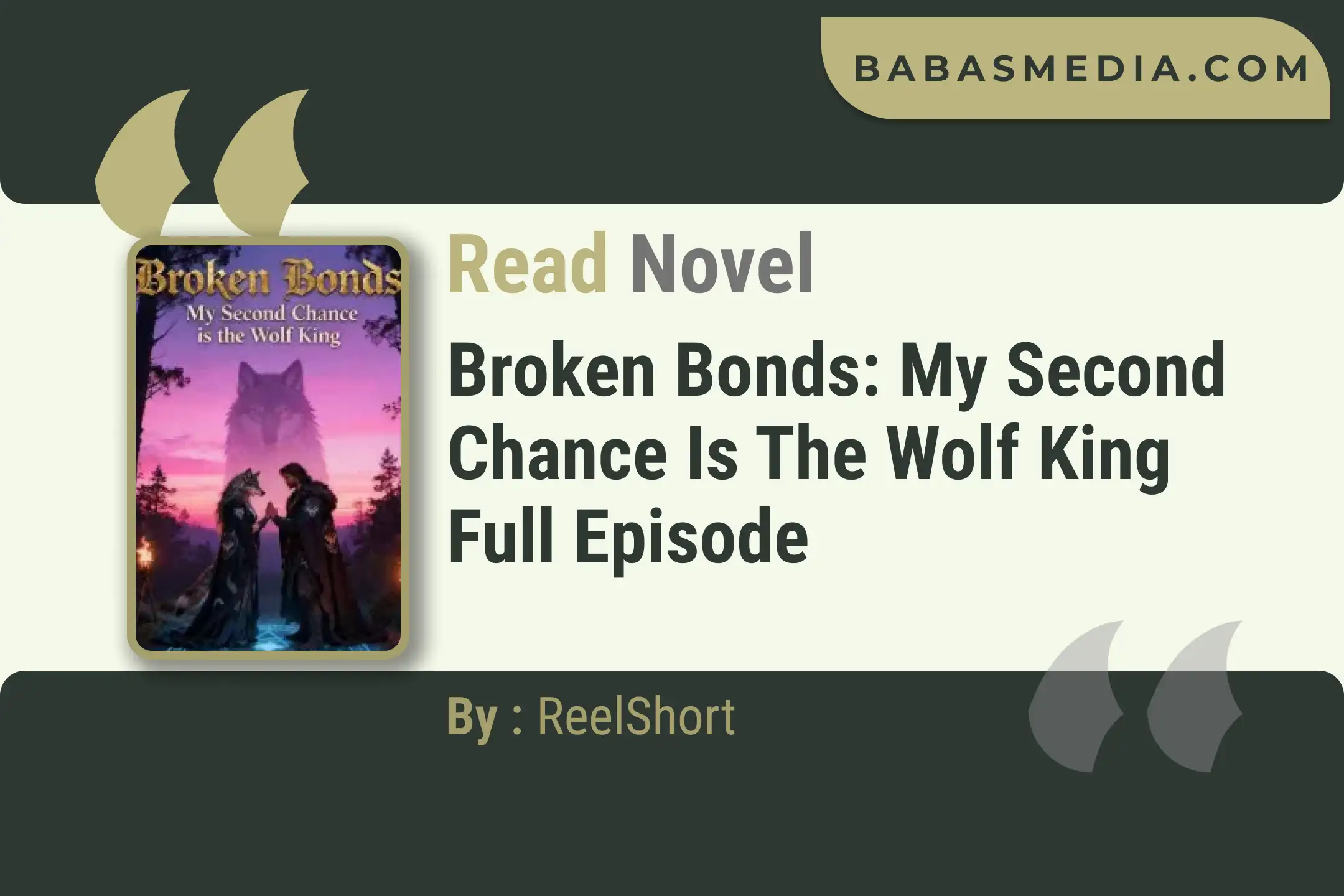Broken Bonds: My Second Chance is the Wolf King Novel By ReelShort Read Reviews