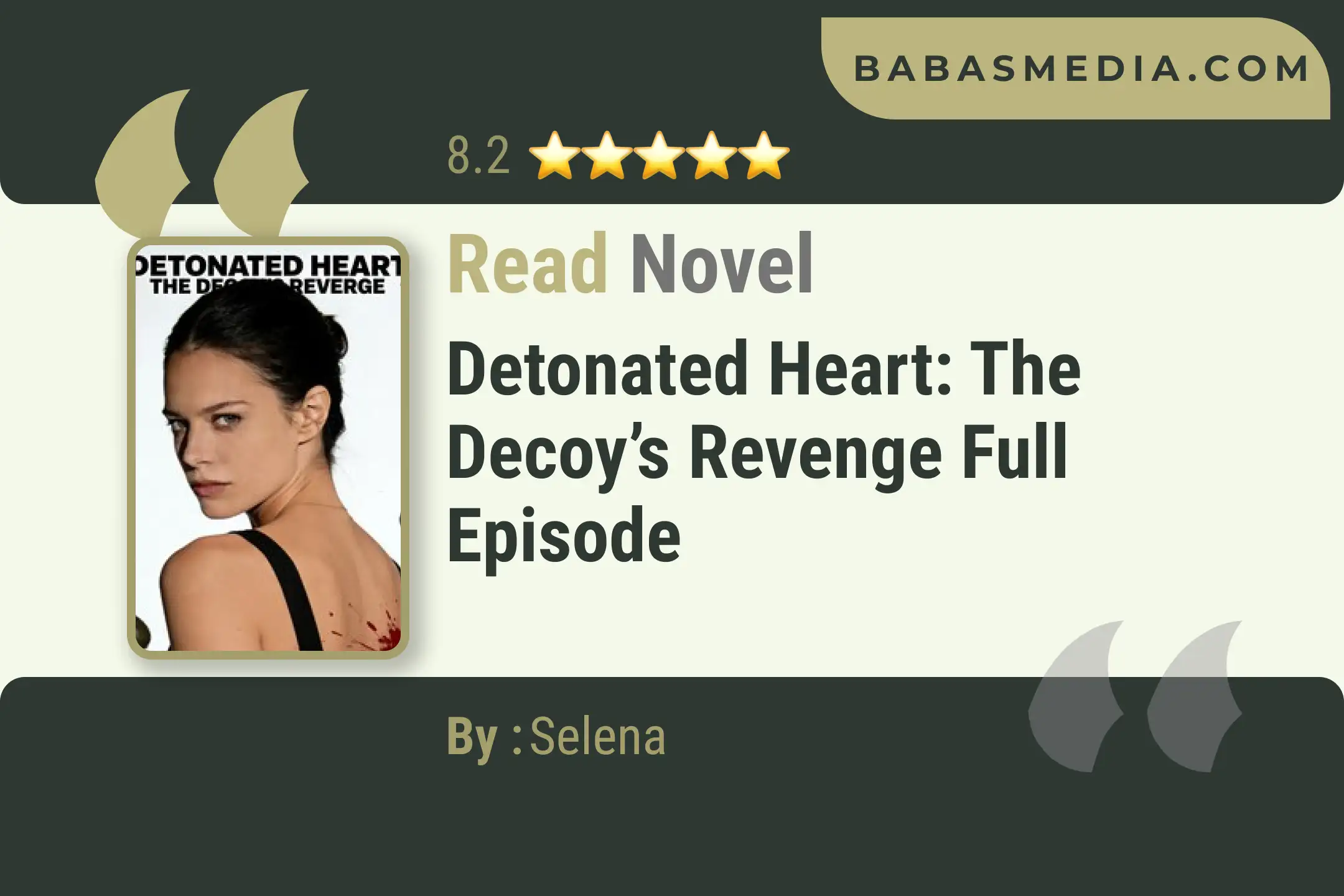 Detonated Heart: The Decoy’s Revenge Novel By Selena Read Reviews