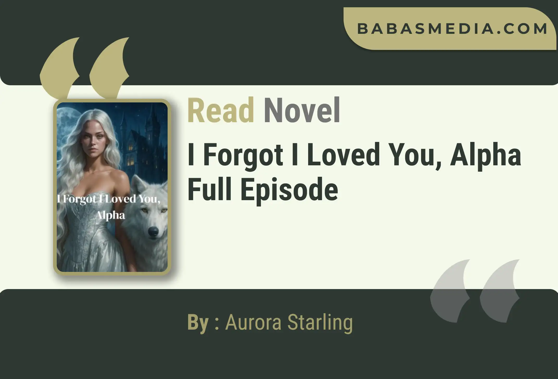 I Forgot I Loved You, Alpha Novel By Aurora Starling Read Reviews