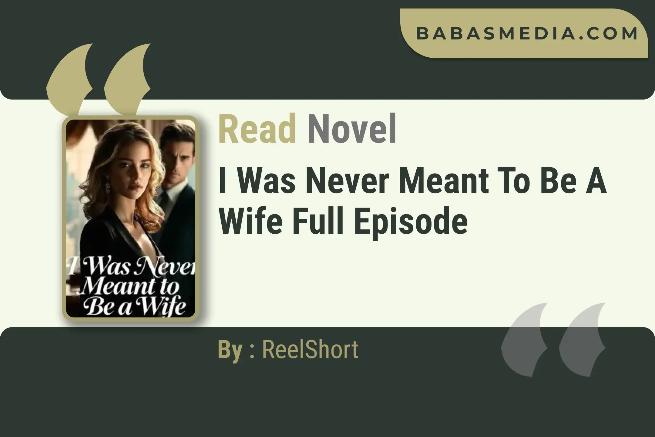I Was Never Meant to Be a Wife Novel By ReelShort Read Reviews