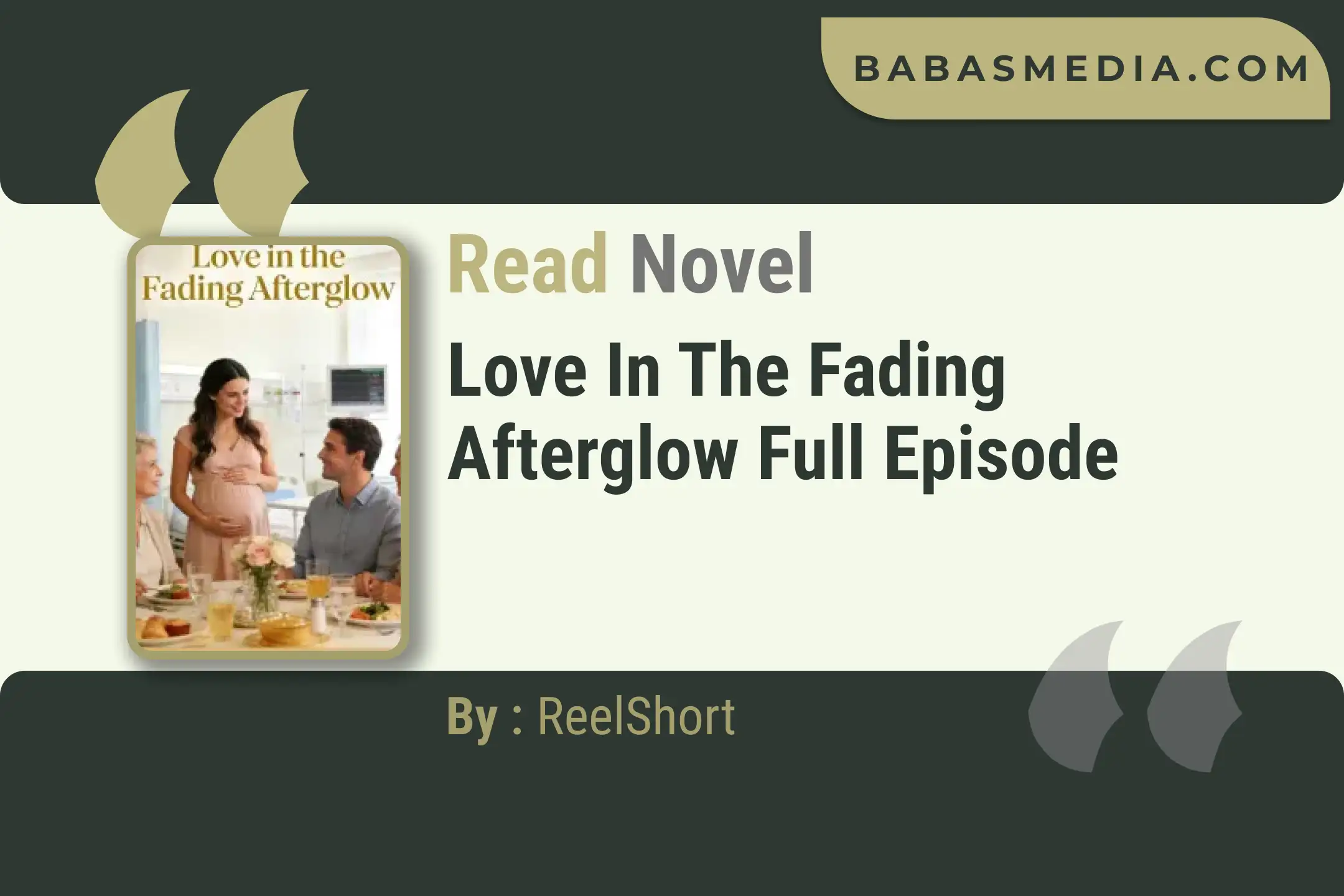 Love in the Fading Afterglow Novel By ReelShort Read Reviews