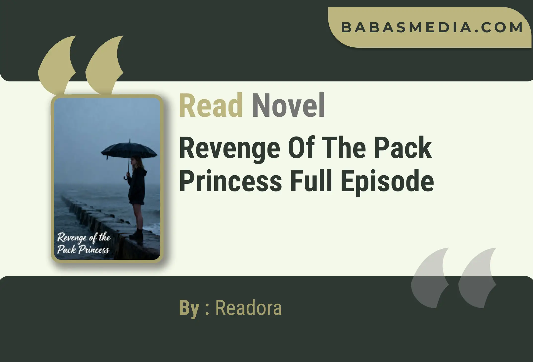 Revenge of the Pack Princess Novel By Readora Read Reviews