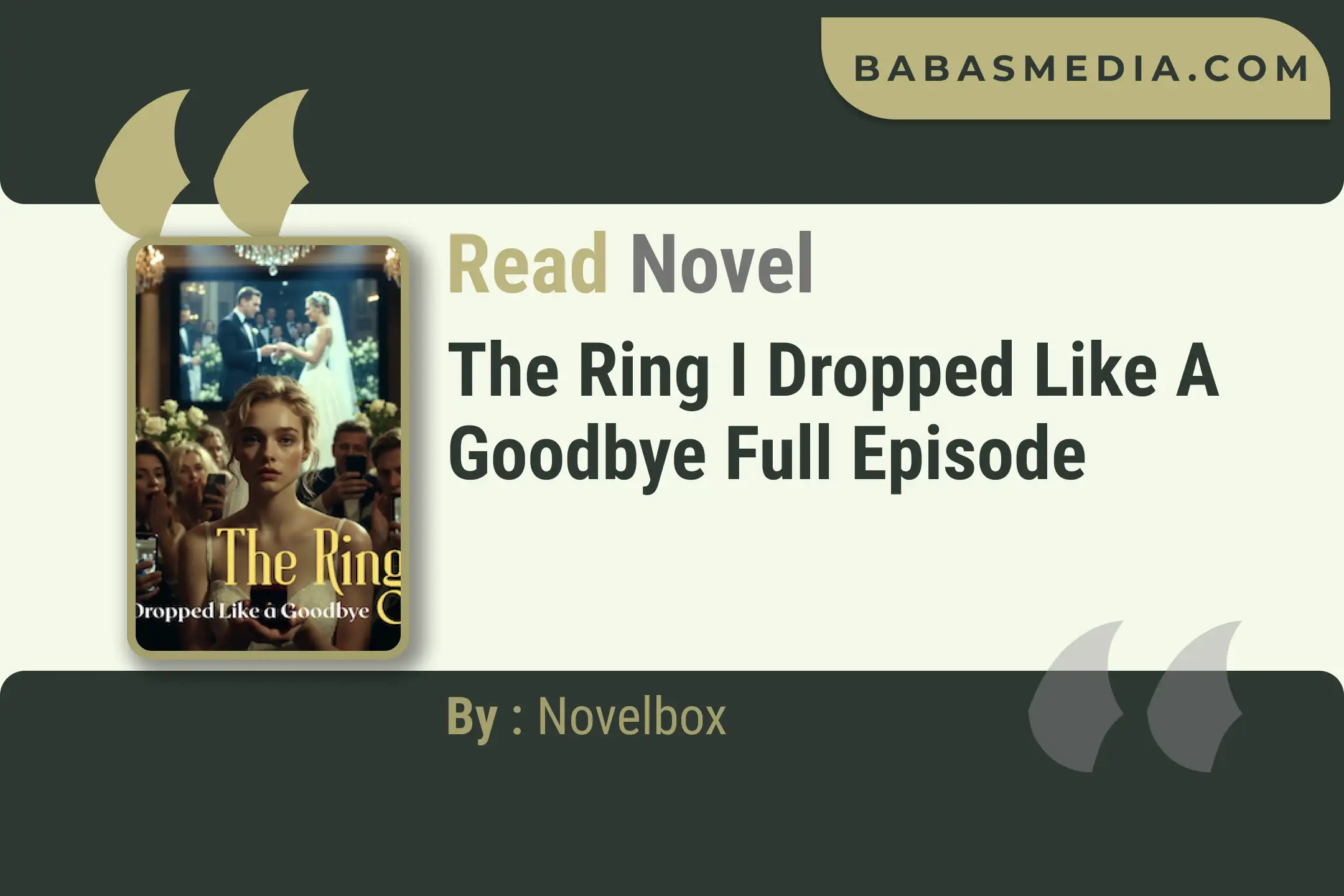 The Ring I Dropped Like a Goodbye Novel By Novelbox Read Reviews
