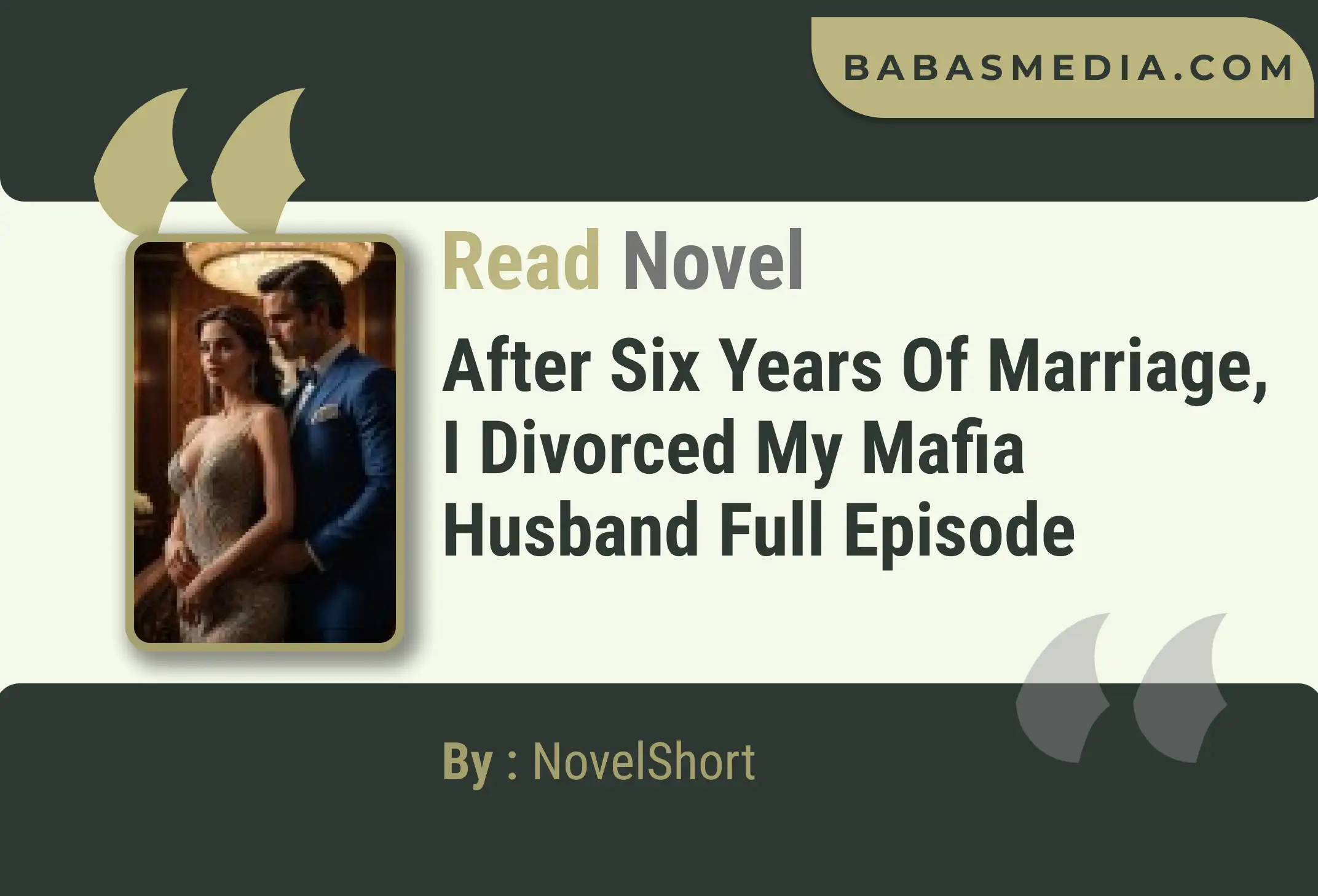 After Six Years of Marriage, I Divorced My Mafia Husband Novel By NovelShort Read Reviews