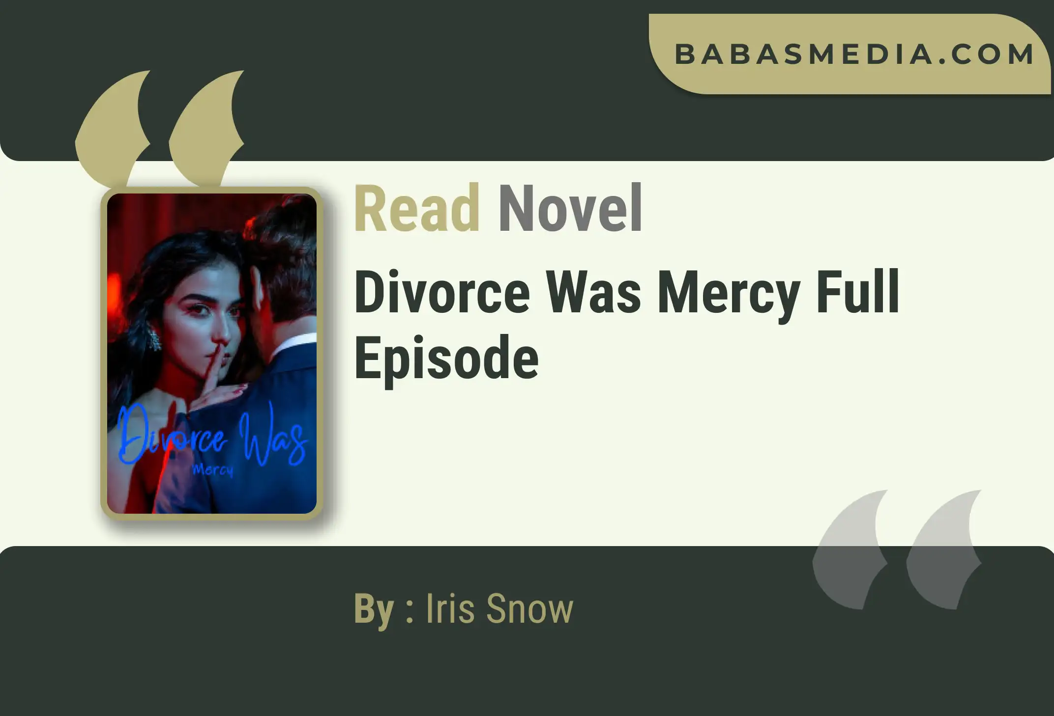 Divorce Was Mercy Novel By Iris Snow Read Reviews
