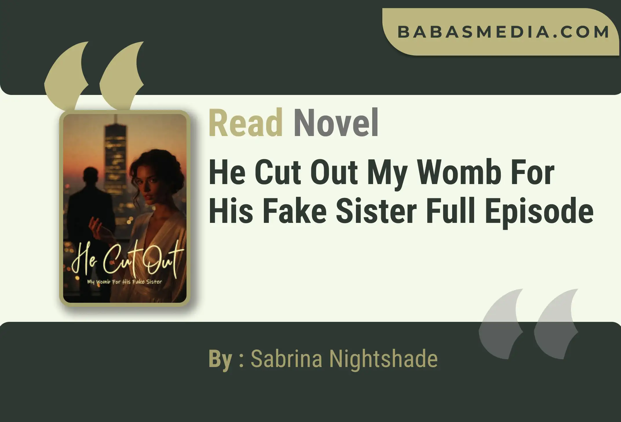 He Cut Out My Womb For His Fake Sister Novel By Sabrina Nightshade Read Reviews