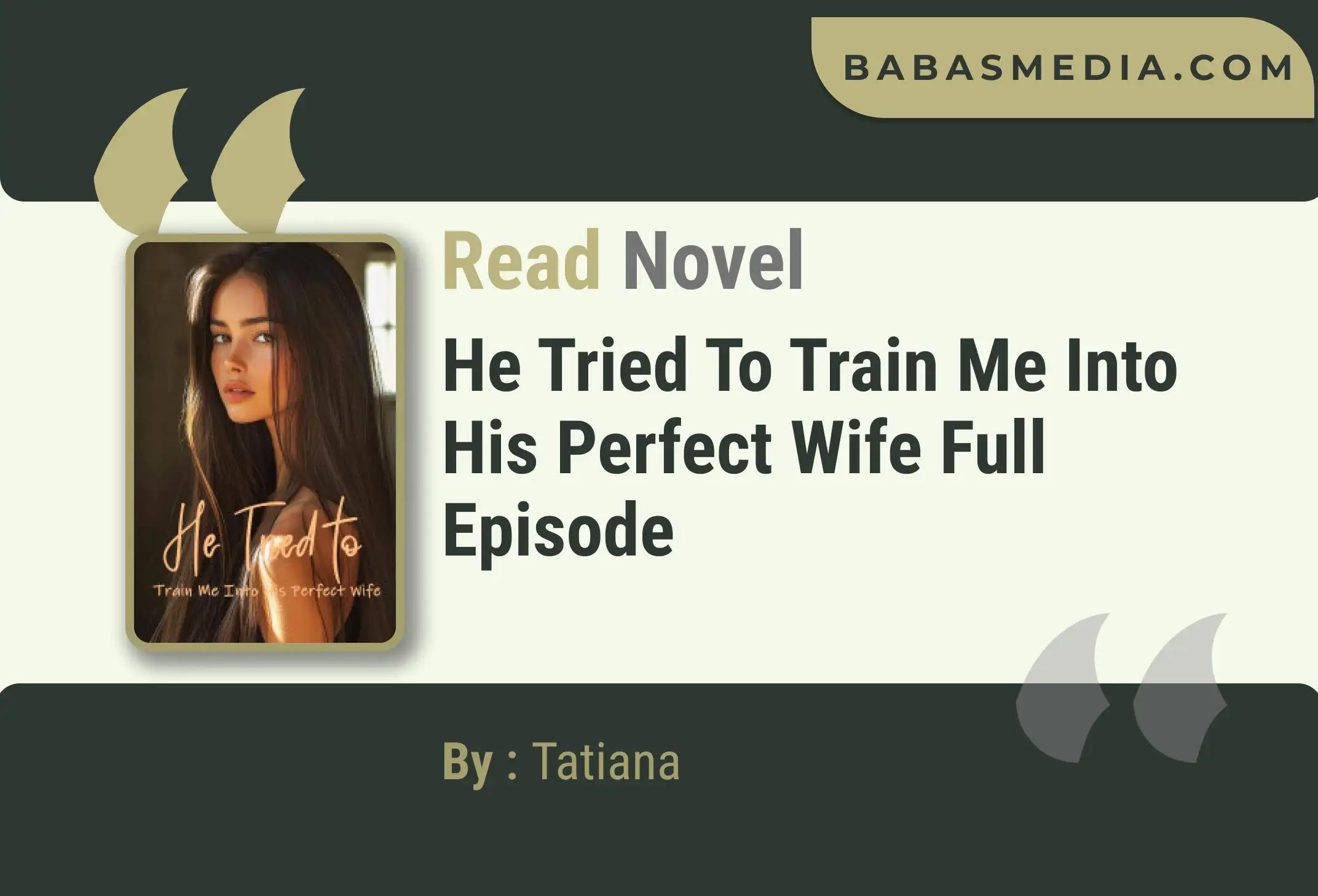 He Tried to Train Me Into His Perfect Wife Novel By Tatiana Read Reviews