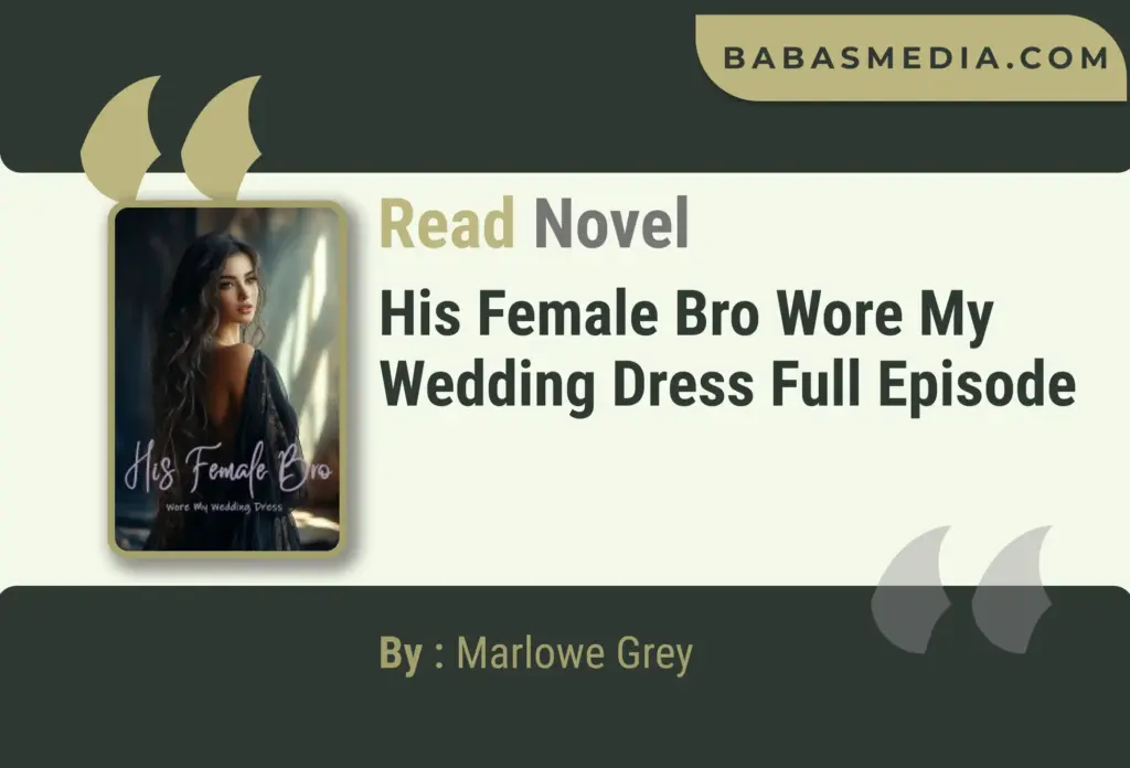 His Female Bro Wore My Wedding Dress Novel By Marlowe Grey Read Reviews ...