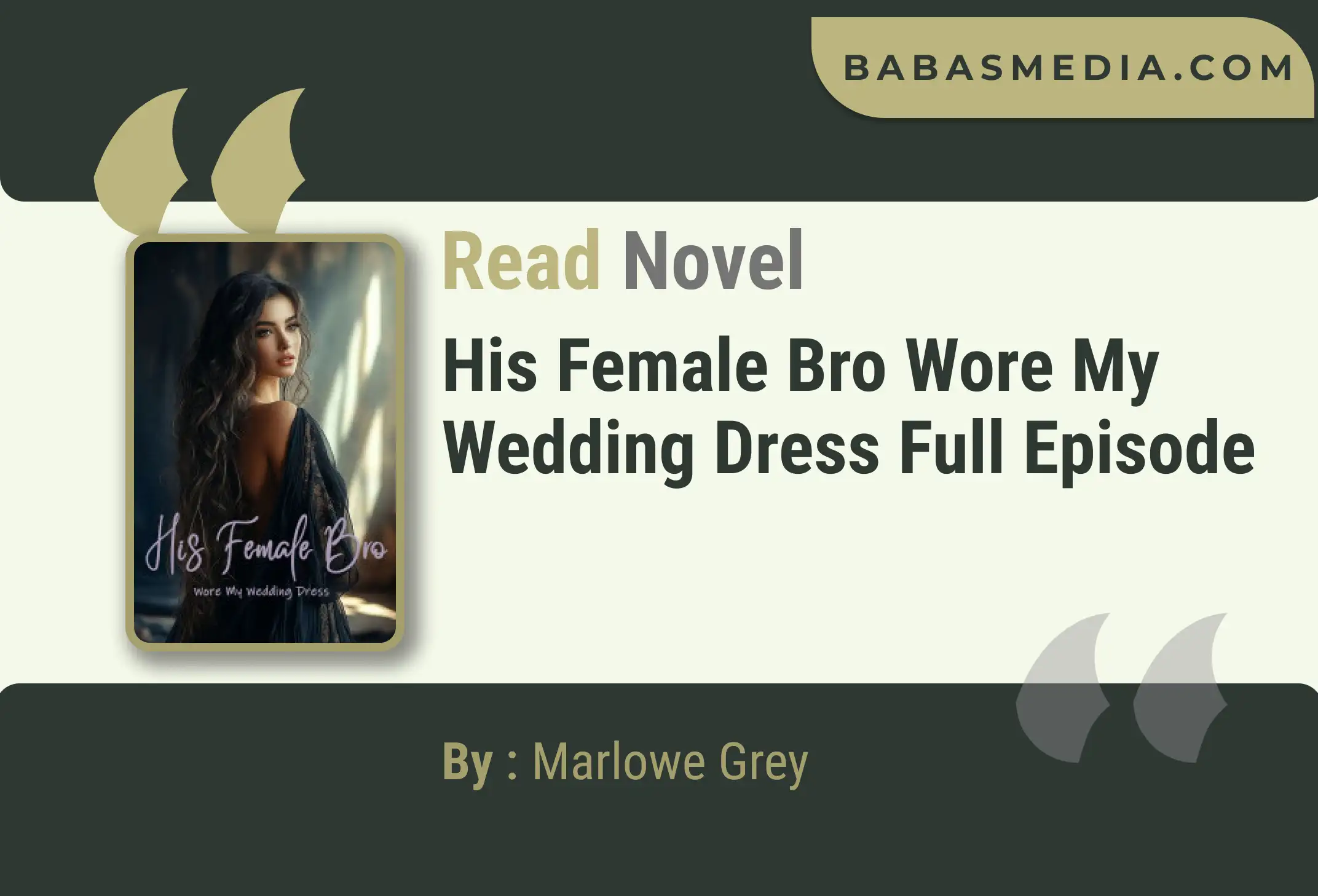 His Female Bro Wore My Wedding Dress Novel By Marlowe Grey Read Reviews