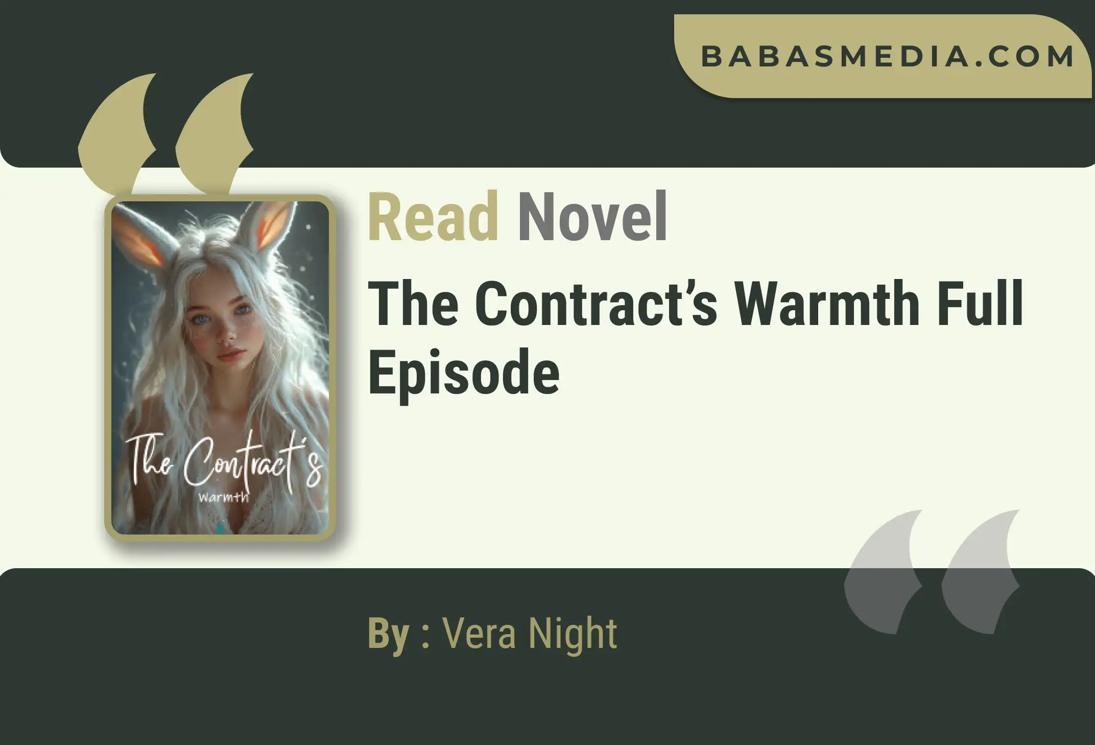 The Contract’s Warmth Novel By Vera Night Read Reviews