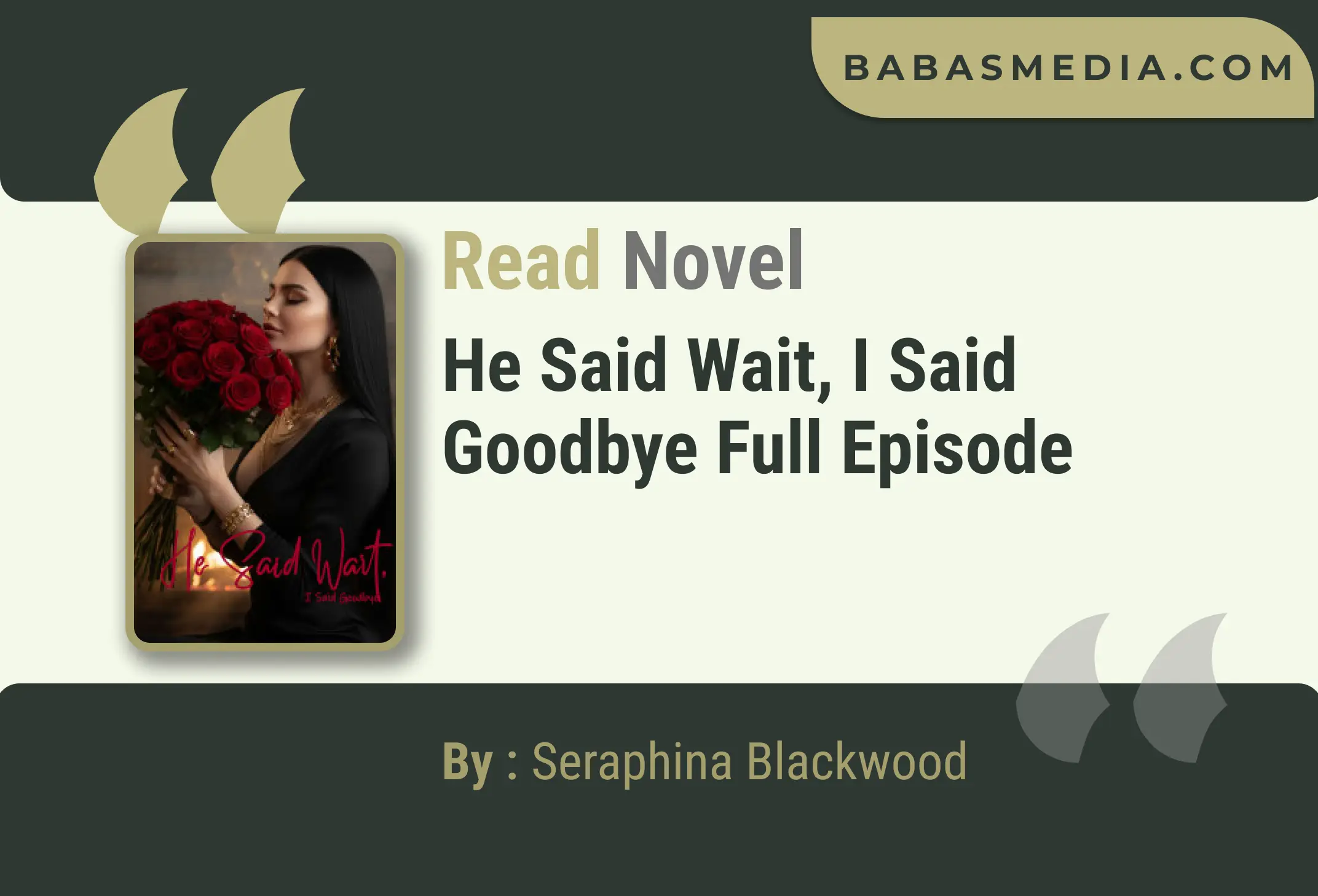 He Said Wait, I Said Goodbye Novel By Seraphina Blackwood Read Reviews