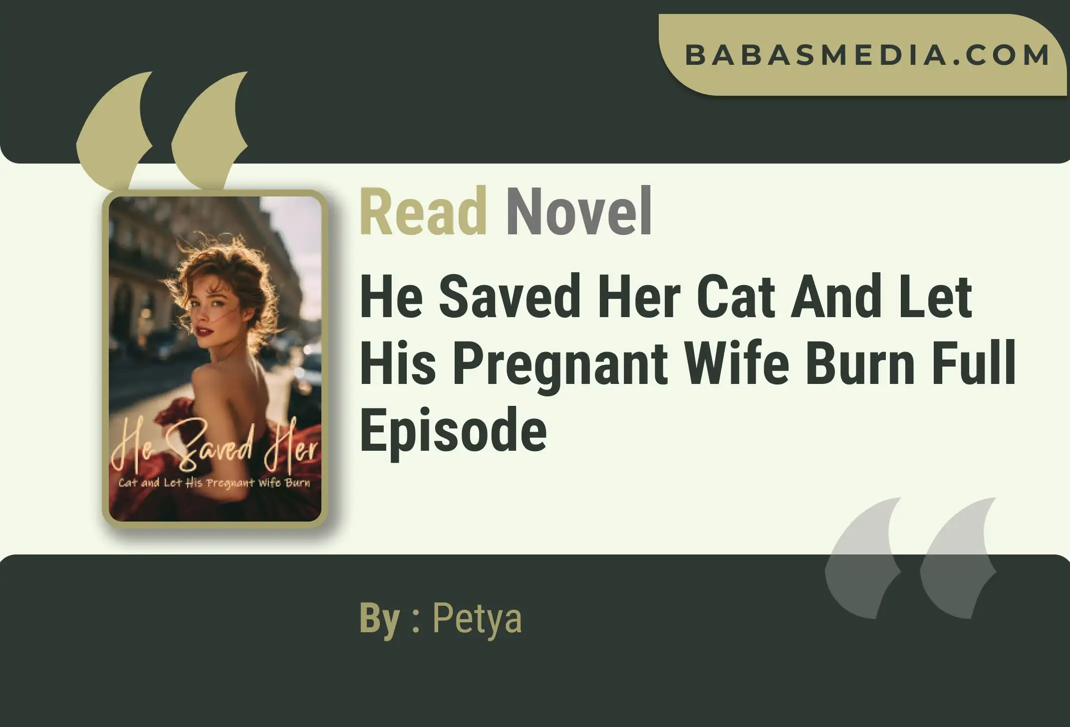 He Saved Her Cat and Let His Pregnant Wife Burn Novel By Petya Read Reviews