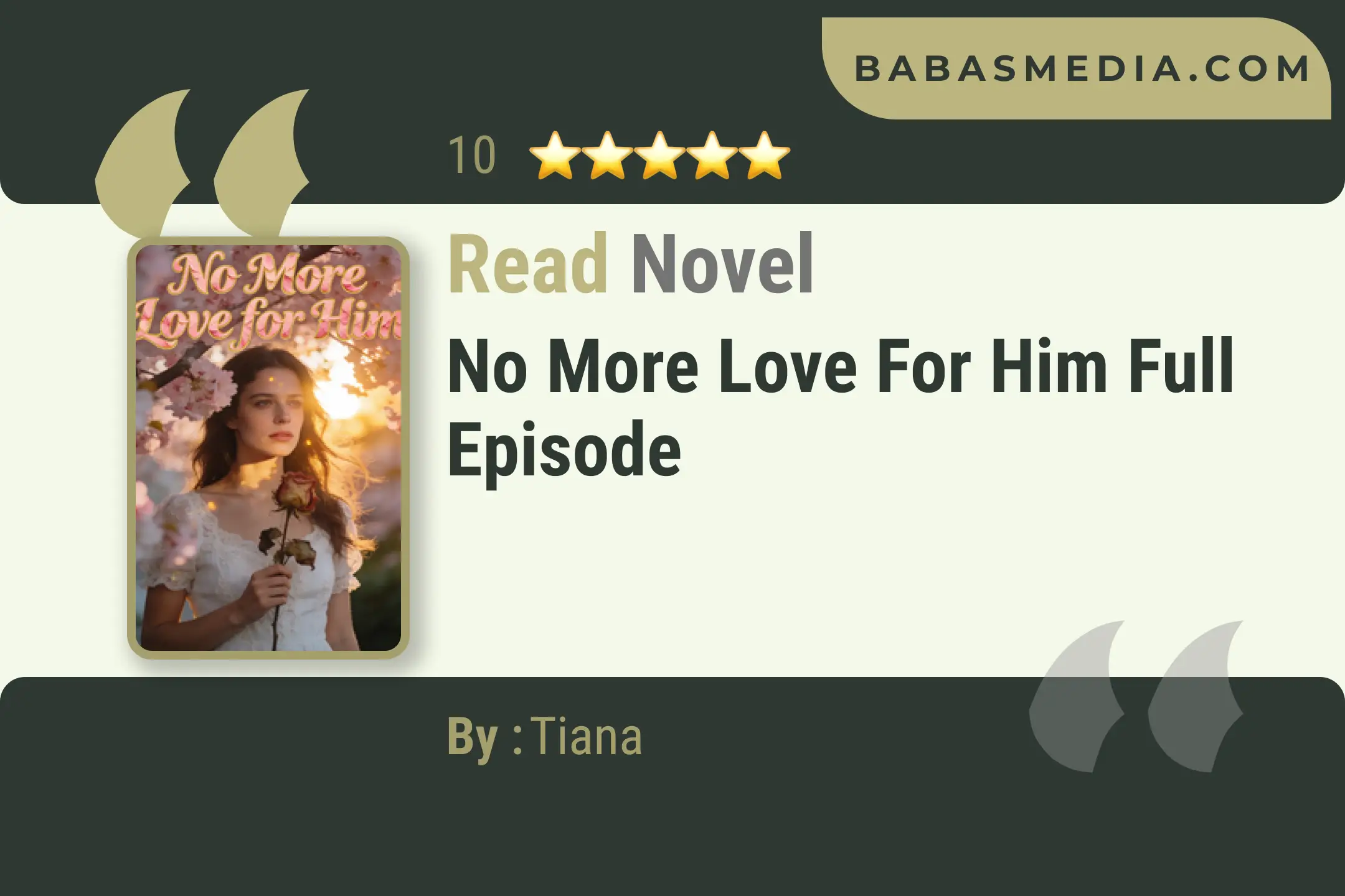 No More Love for Him Novel By Tiana Read Reviews