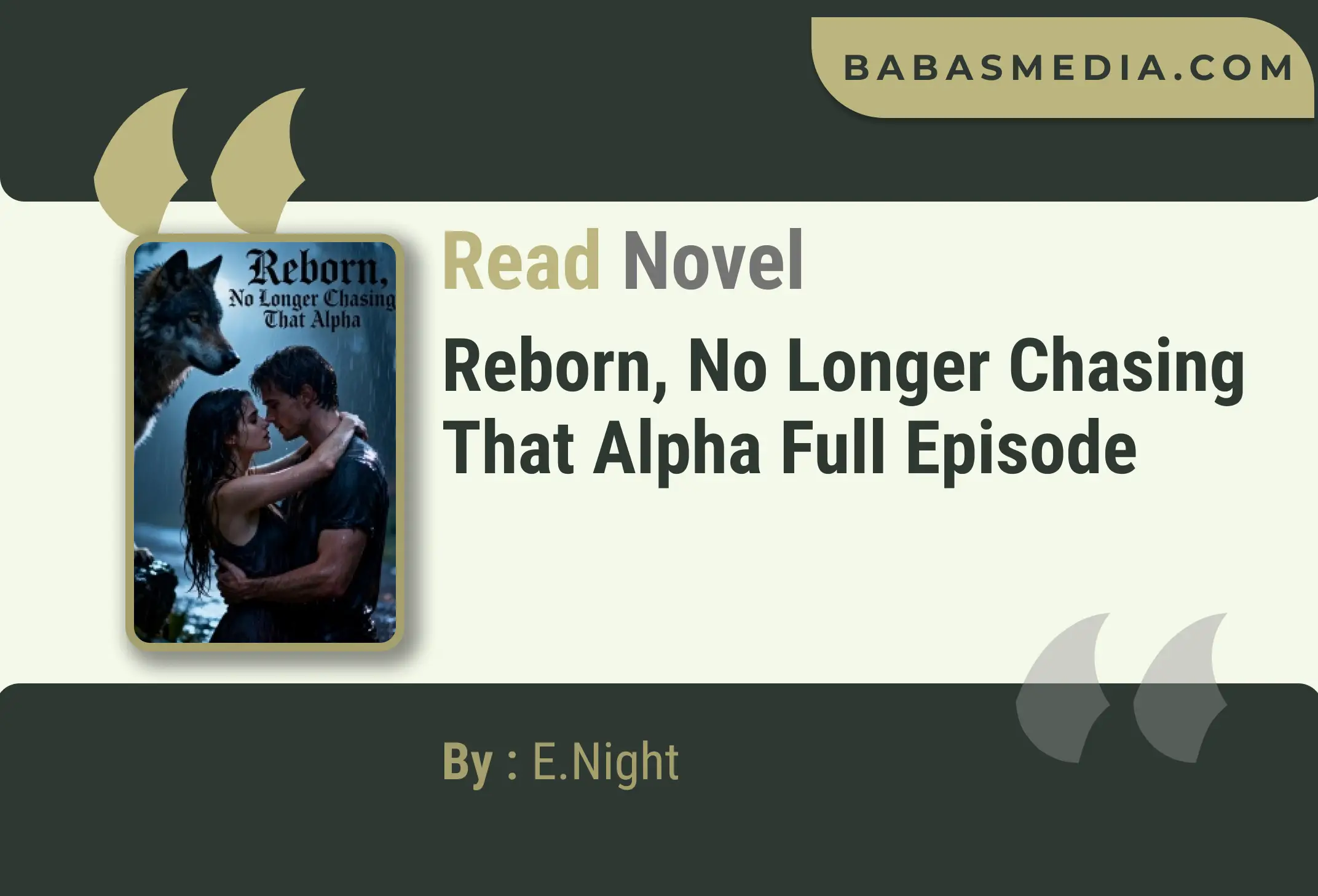 Reborn, No Longer Chasing That Alpha Novel By E.Night Read Reviews