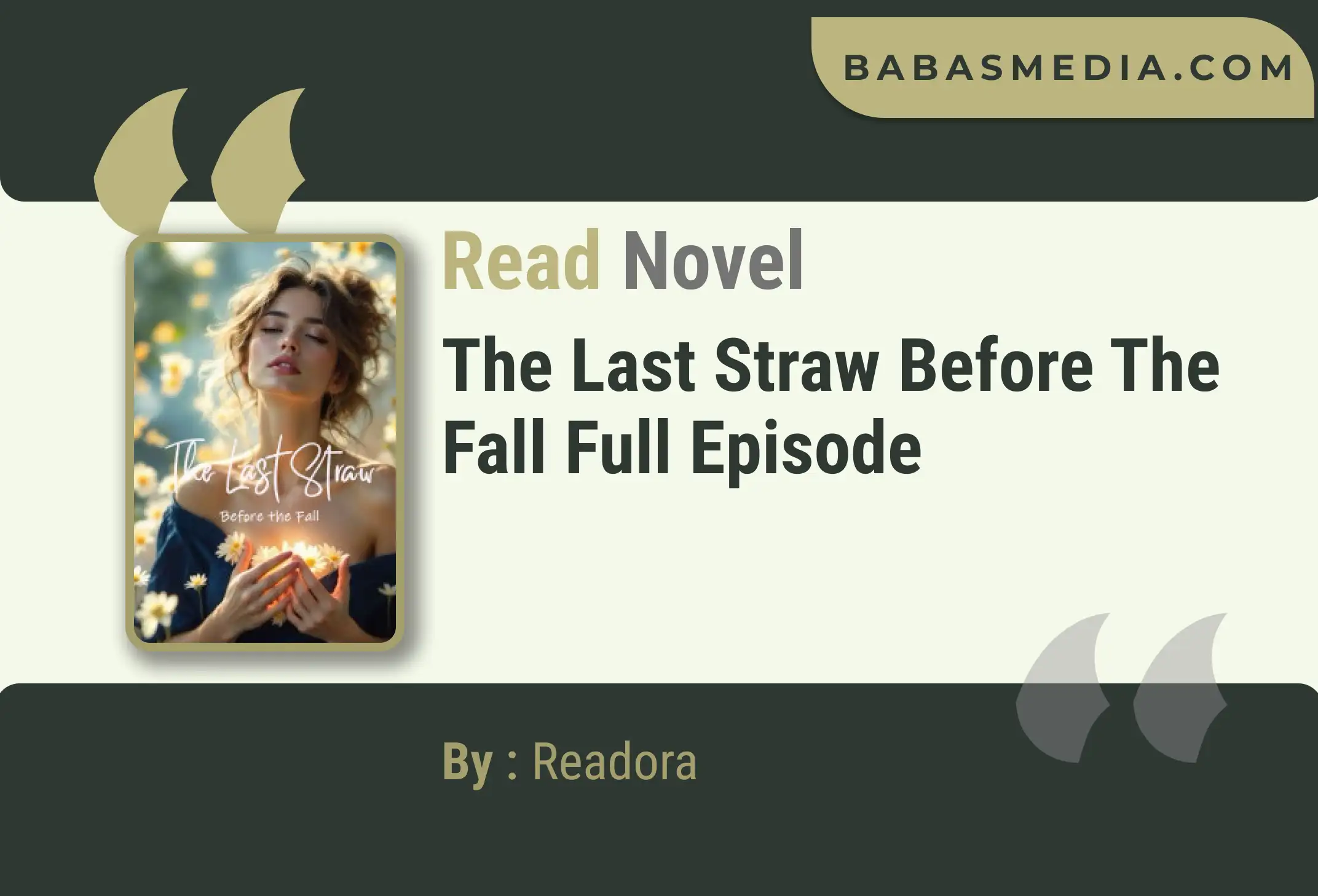 The Last Straw Before the Fall Novel By Readora Read Reviews