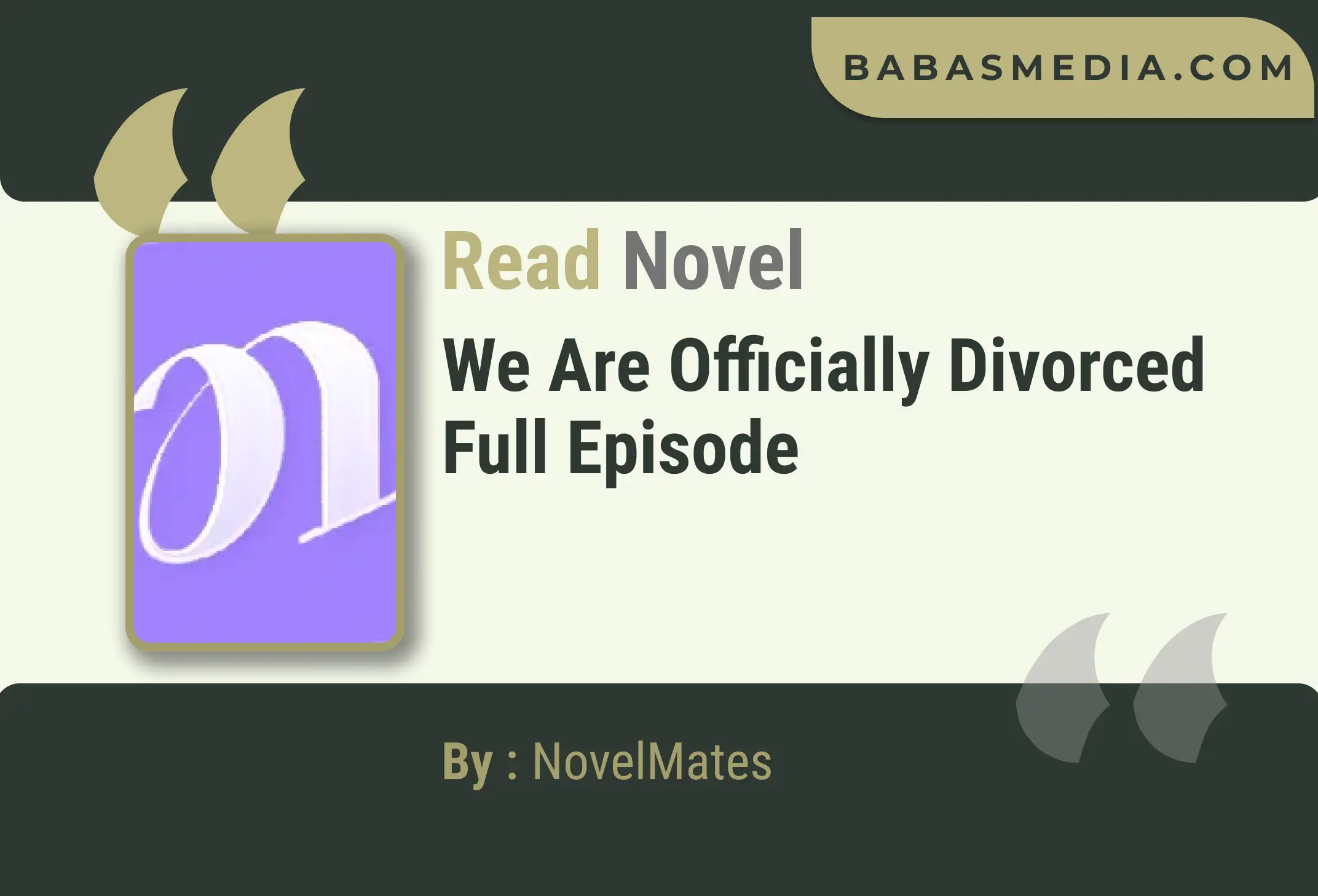 We Are Officially Divorced Novel By NovelMates Read Reviews