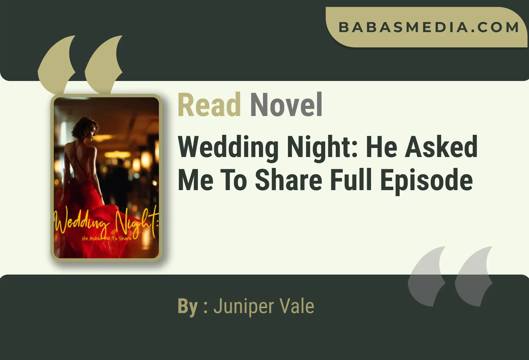 Wedding Night: He Asked Me To Share Novel By Juniper Vale Read Reviews
