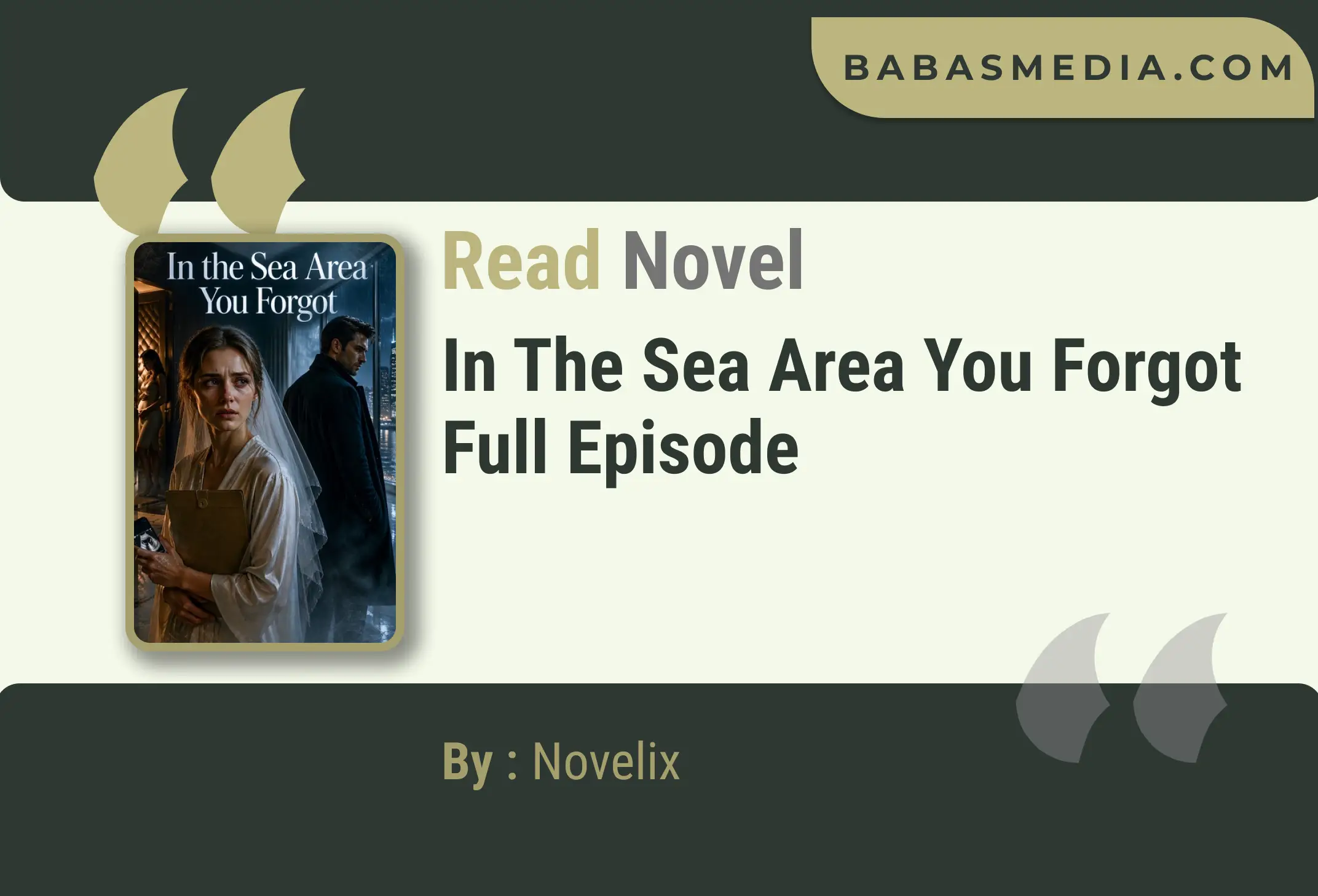 In the Sea Area You Forgot Novel By Novelix Read Reviews