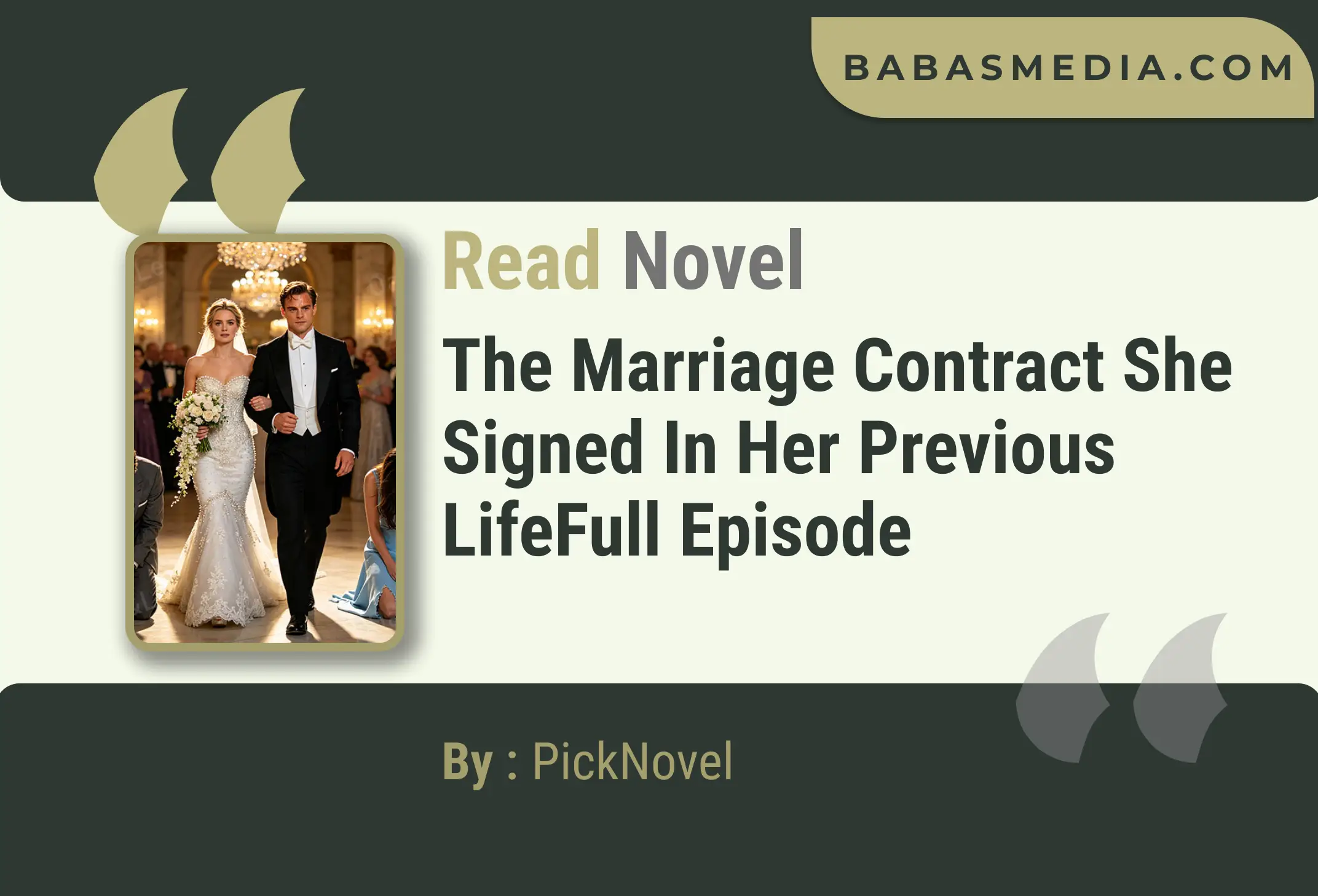 The Marriage Contract She Signed in Her Previous Life Novel By PickNovel Read Reviews