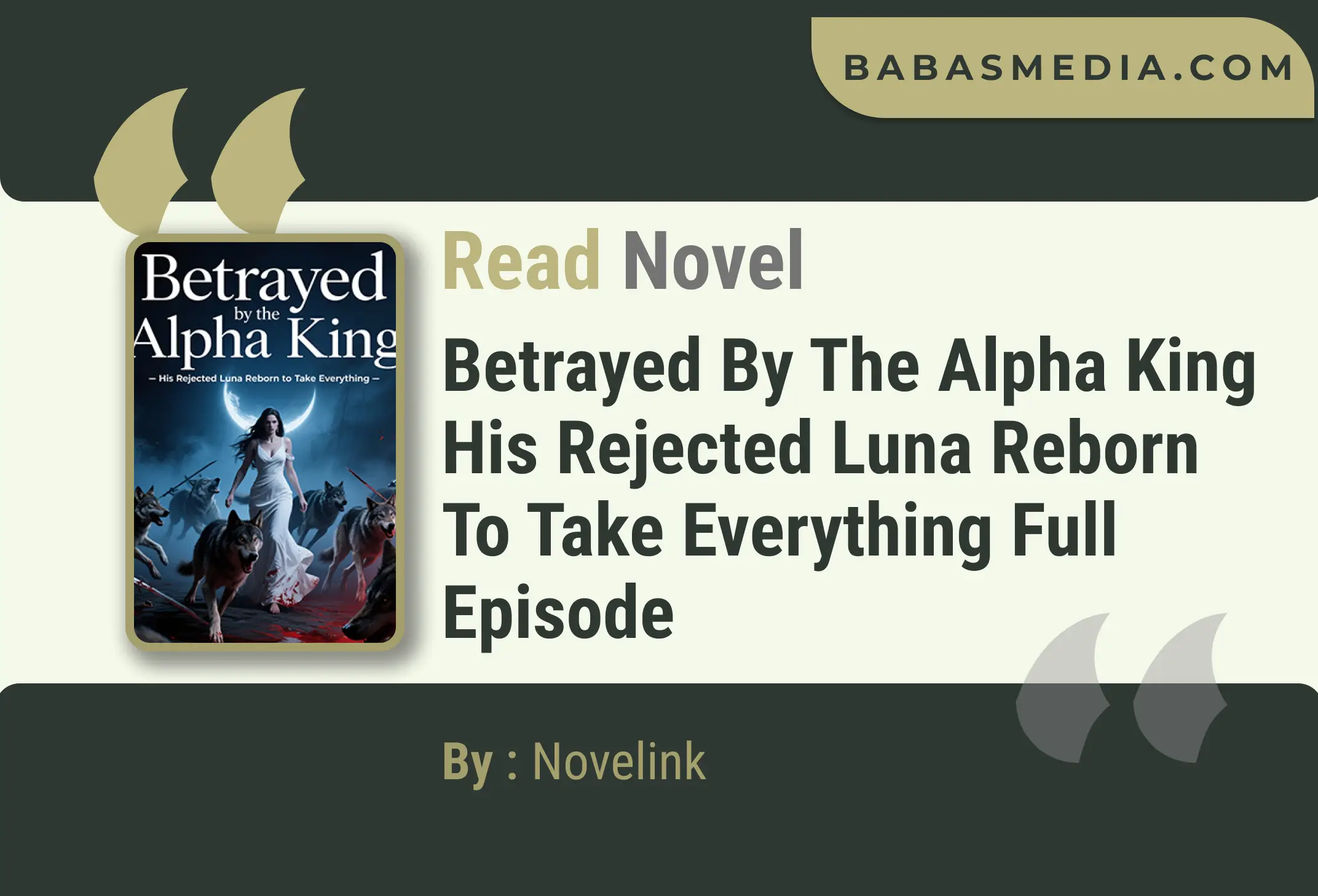 Betrayed by the Alpha King His Rejected Luna Reborn to Take Everything Novel By Novelink Read Reviews