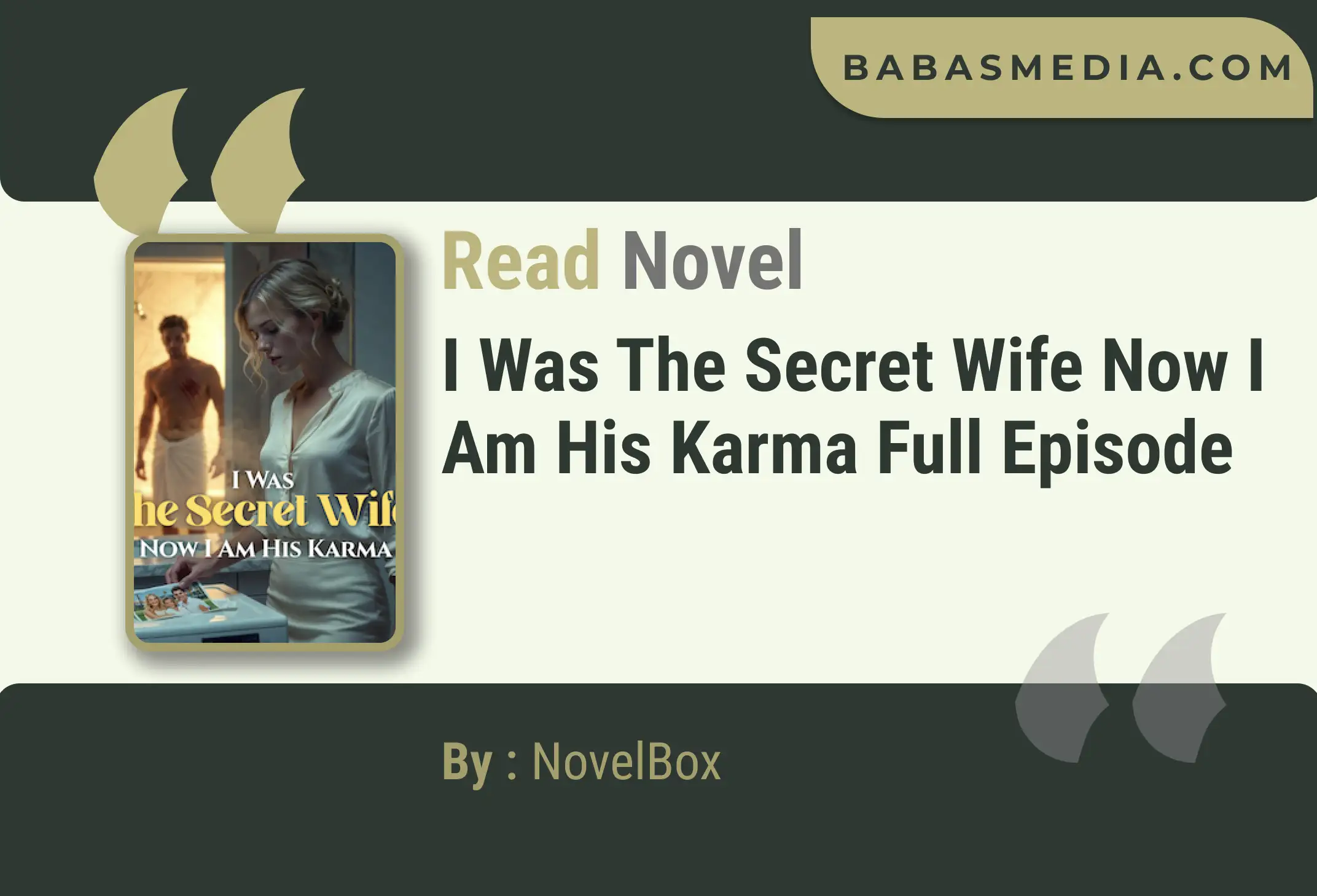 I Was the Secret Wife Now I Am His Karma Novel By NovelBox Read Reviews