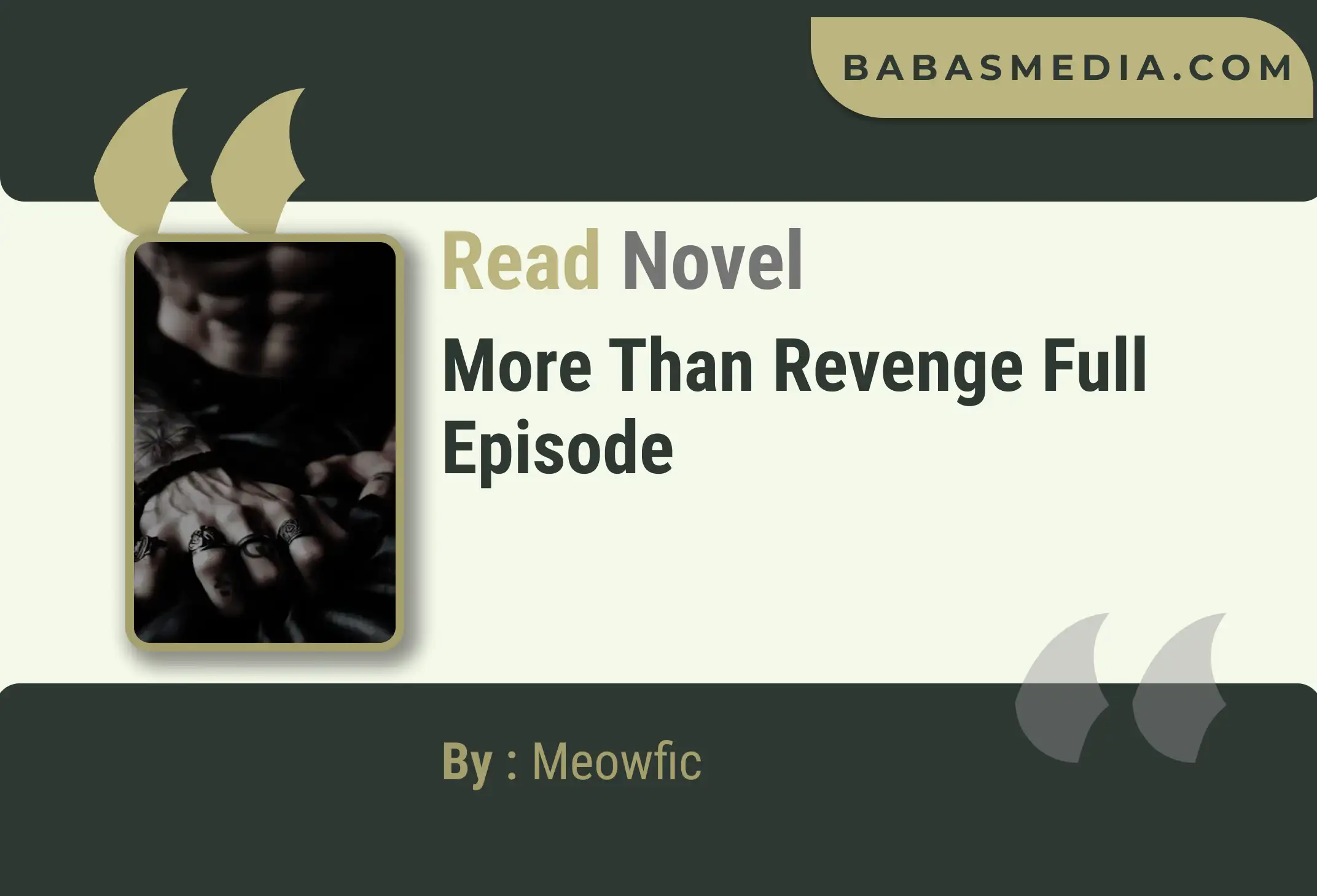 More Than Revenge Novel By Meowfic Read Reviews