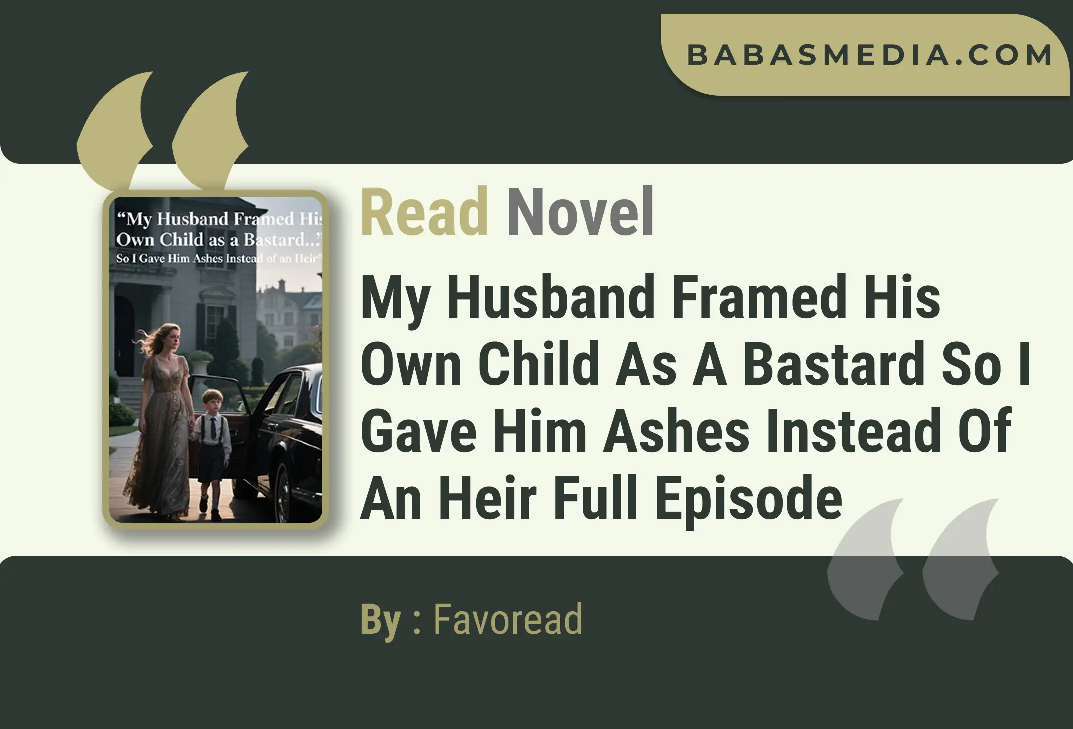 My Husband Framed His Own Child as a Bastard So I Gave Him Ashes Instead of an Heir Novel By Favoread Read Reviews